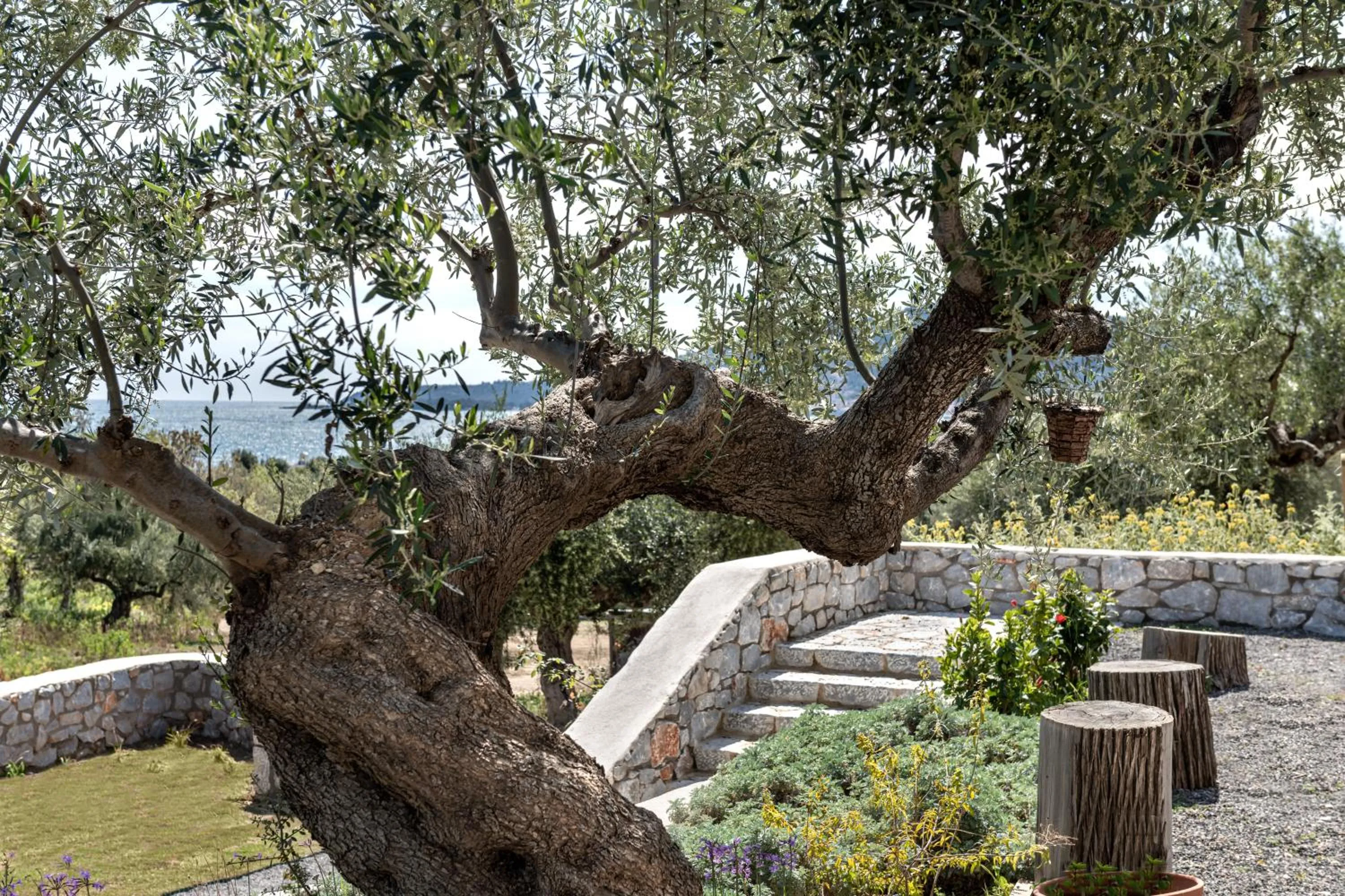 Property building in The Olive Yard