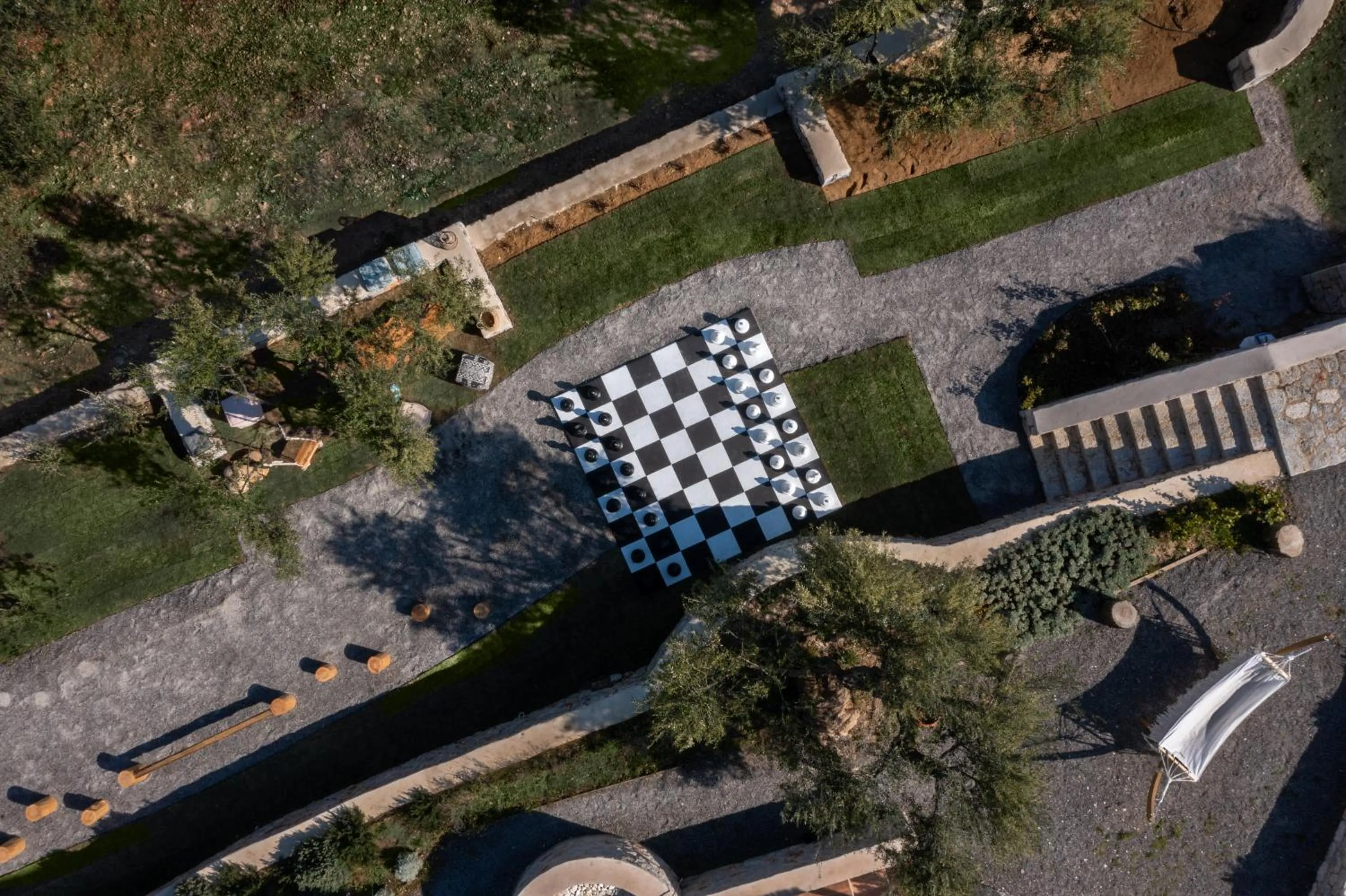 Bird's eye view in The Olive Yard