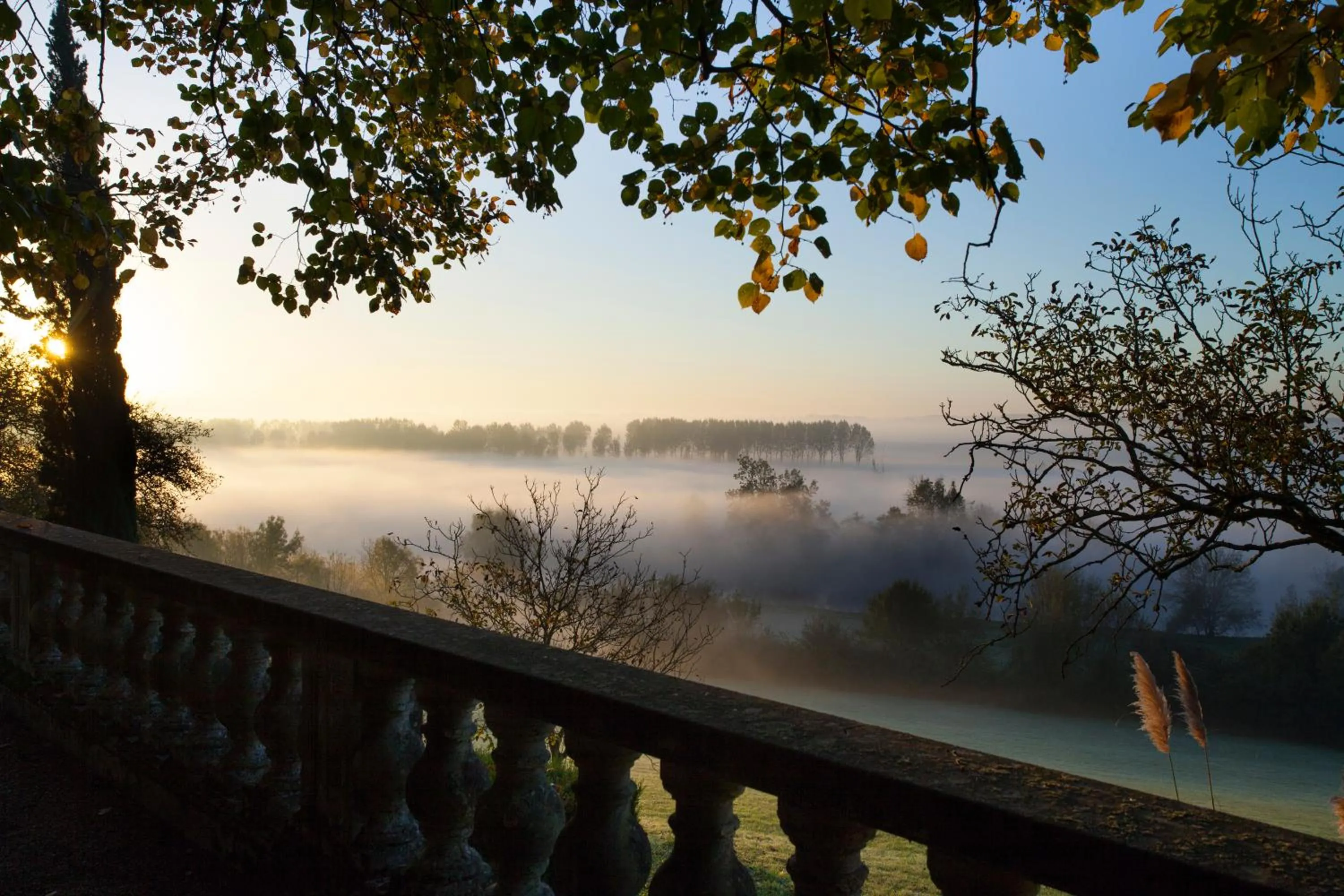 Natural landscape in Château De Noirieux