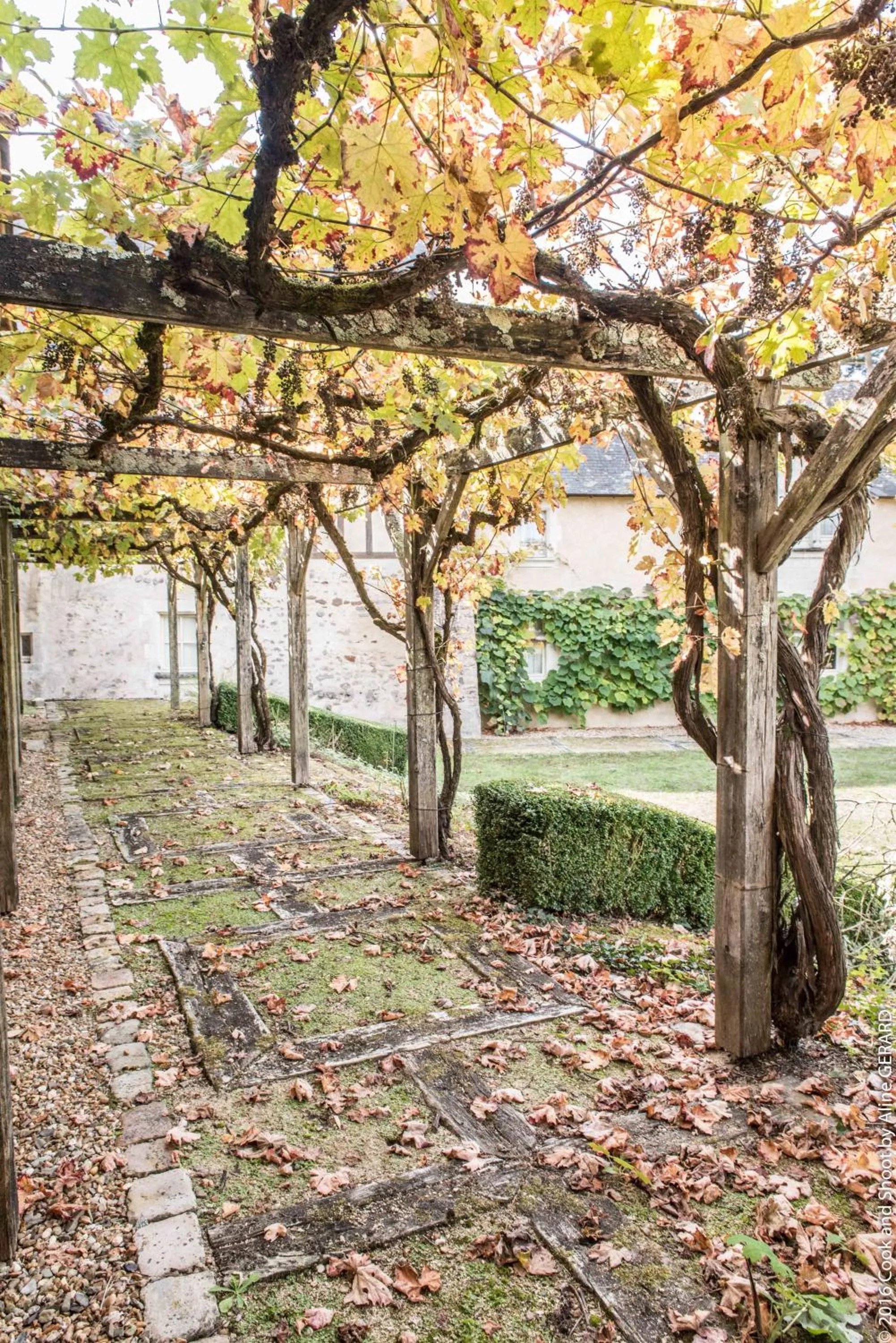 Spring in Château De Noirieux