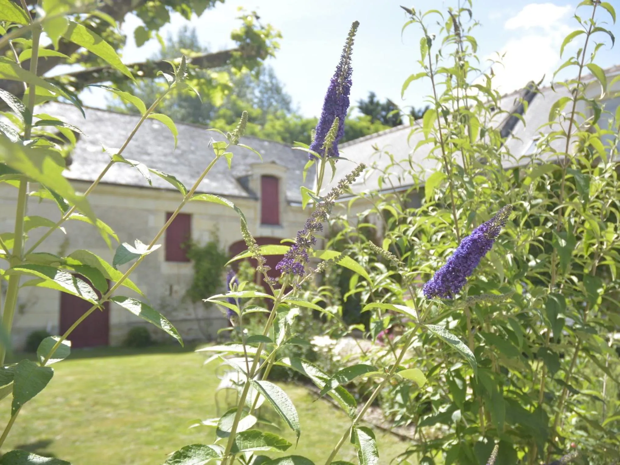 Property building in La Pénesais