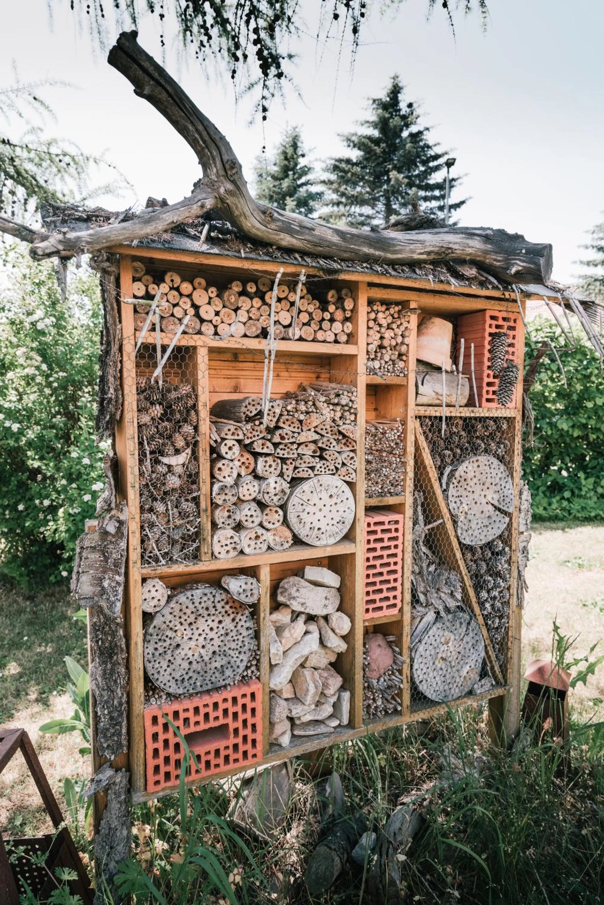 Other in Landhauspension Rank