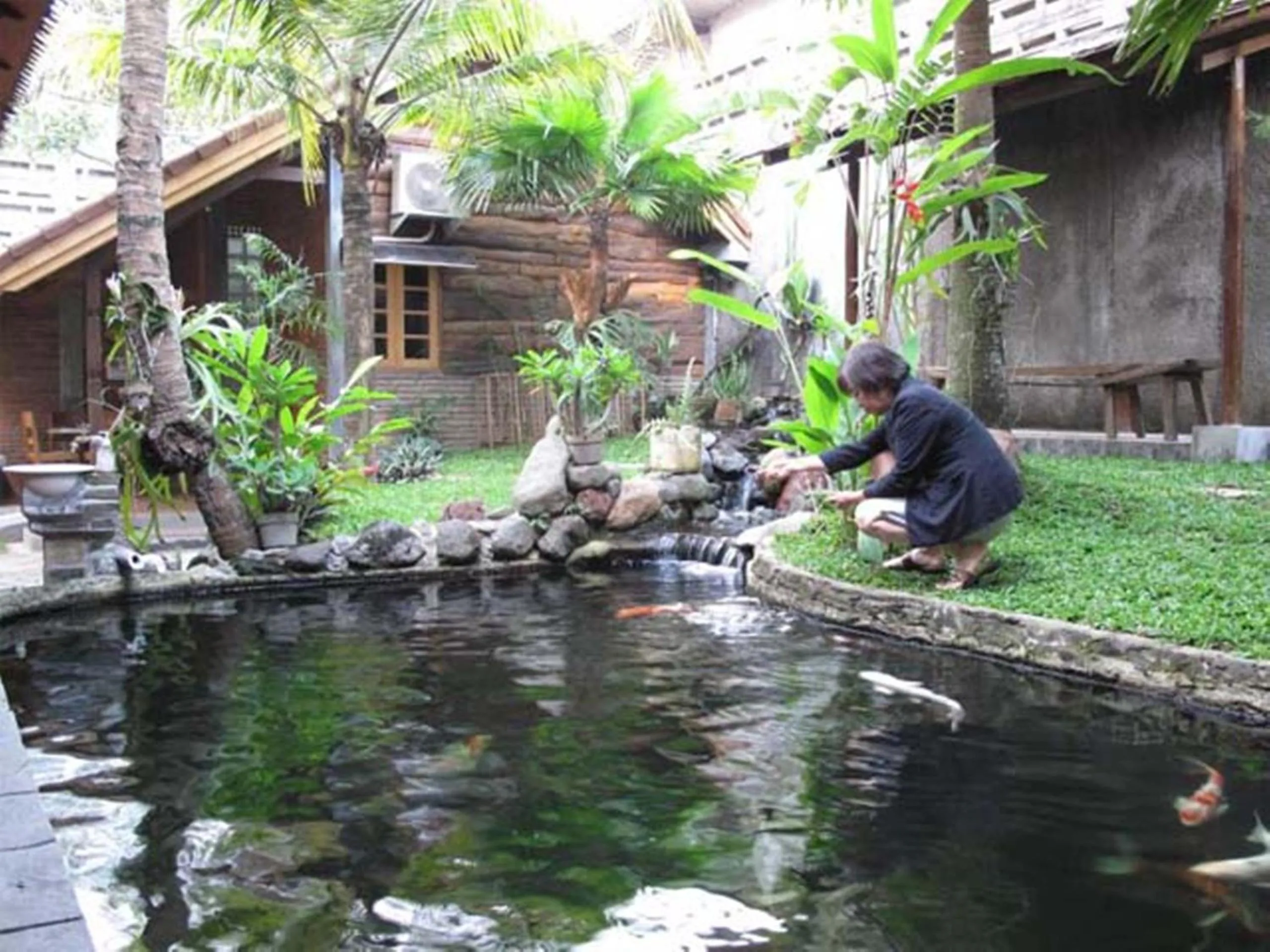 Garden in Peye Guesthouse