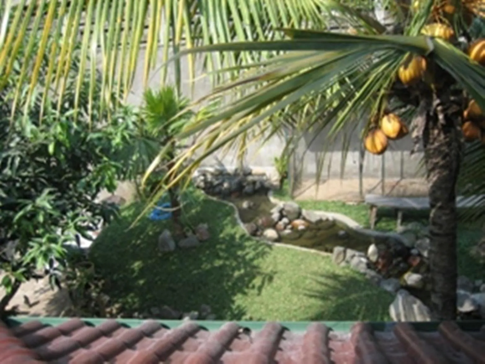 Garden in Peye Guesthouse