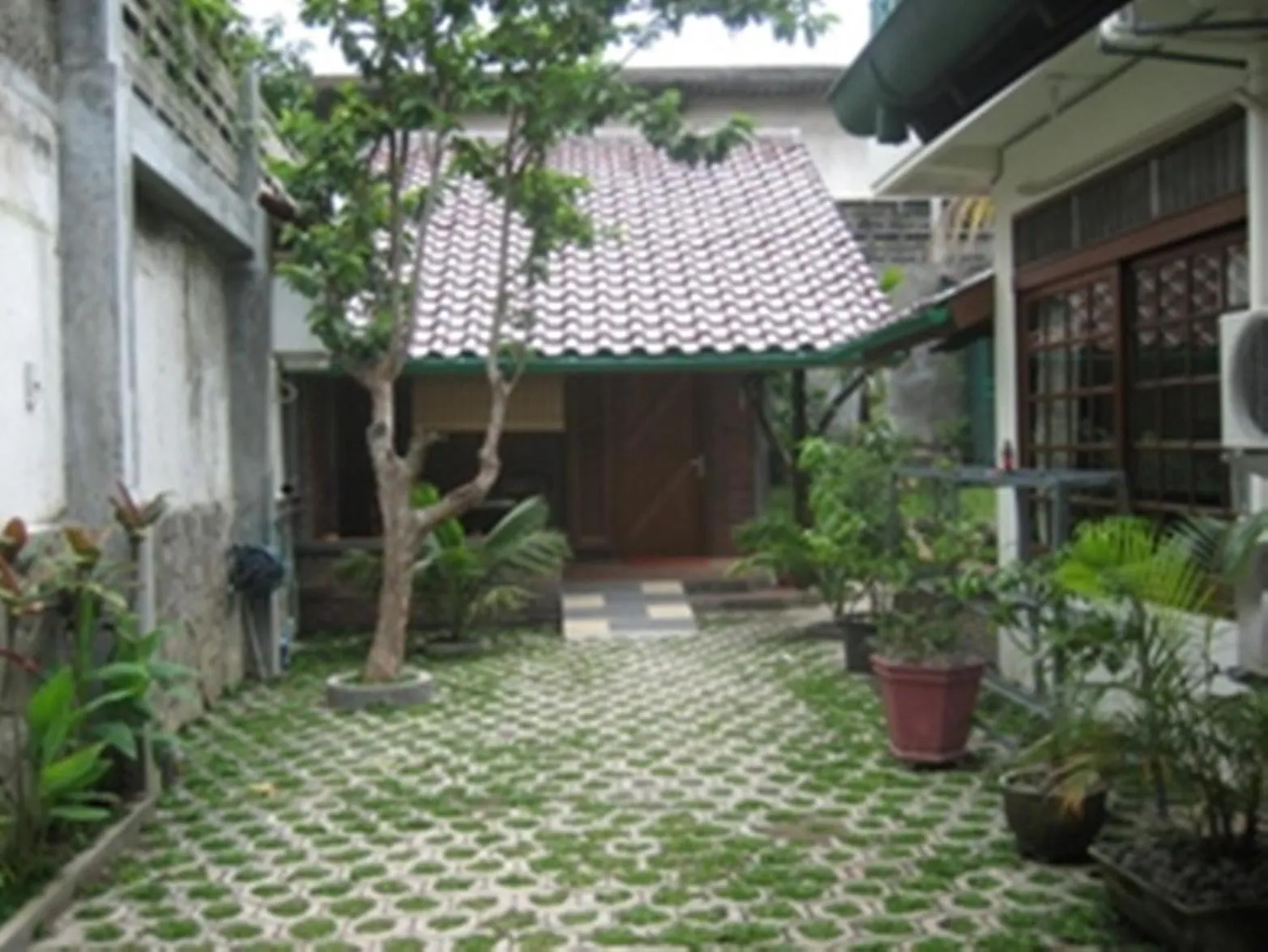 Garden in Peye Guesthouse