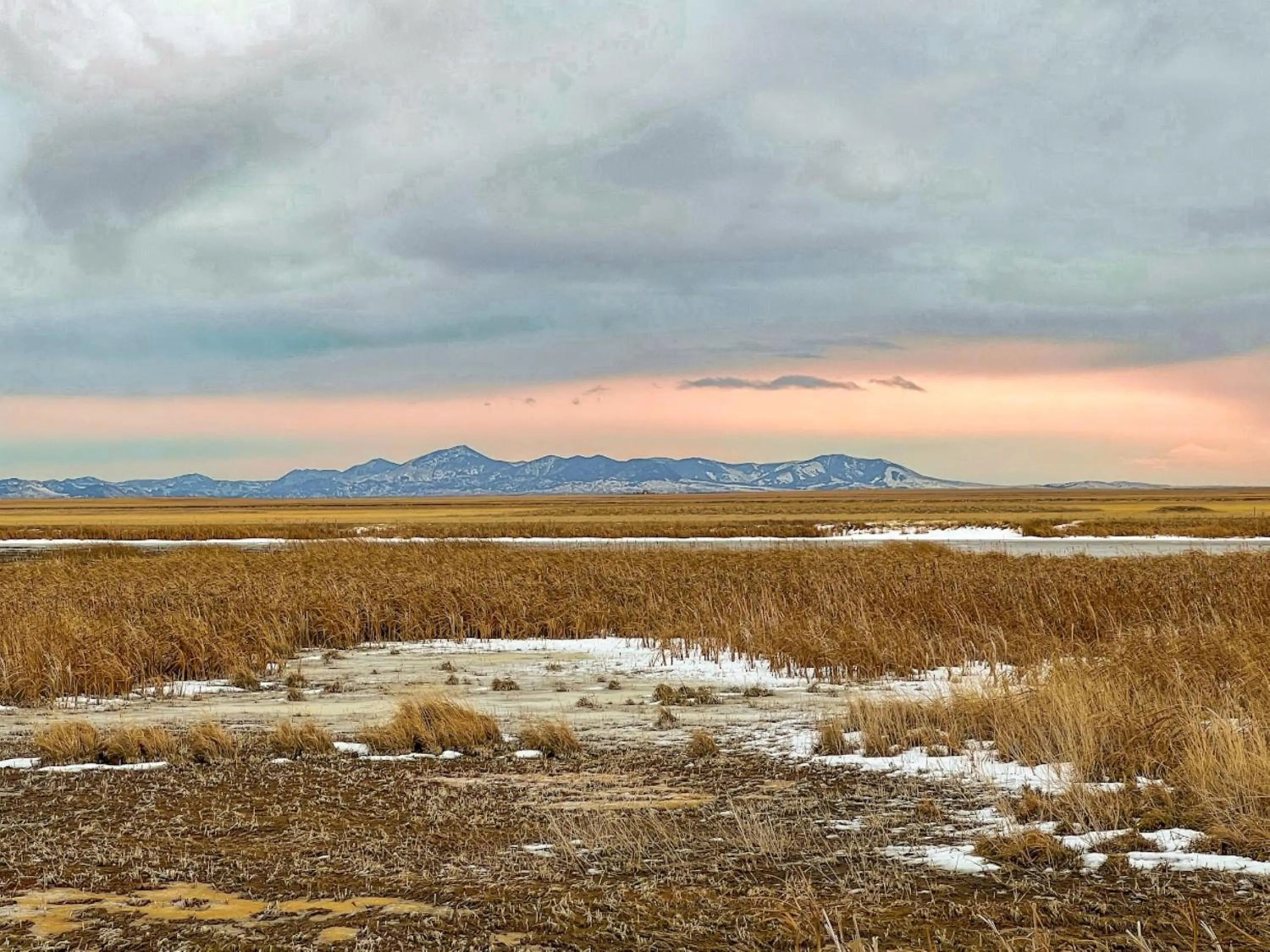 Area and facilities in Staybridge Suites Great Falls by IHG
