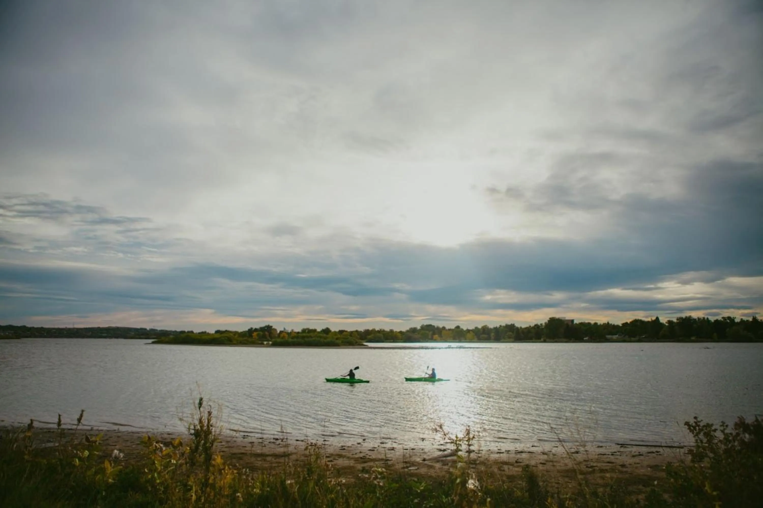 Area and facilities in Staybridge Suites Great Falls by IHG