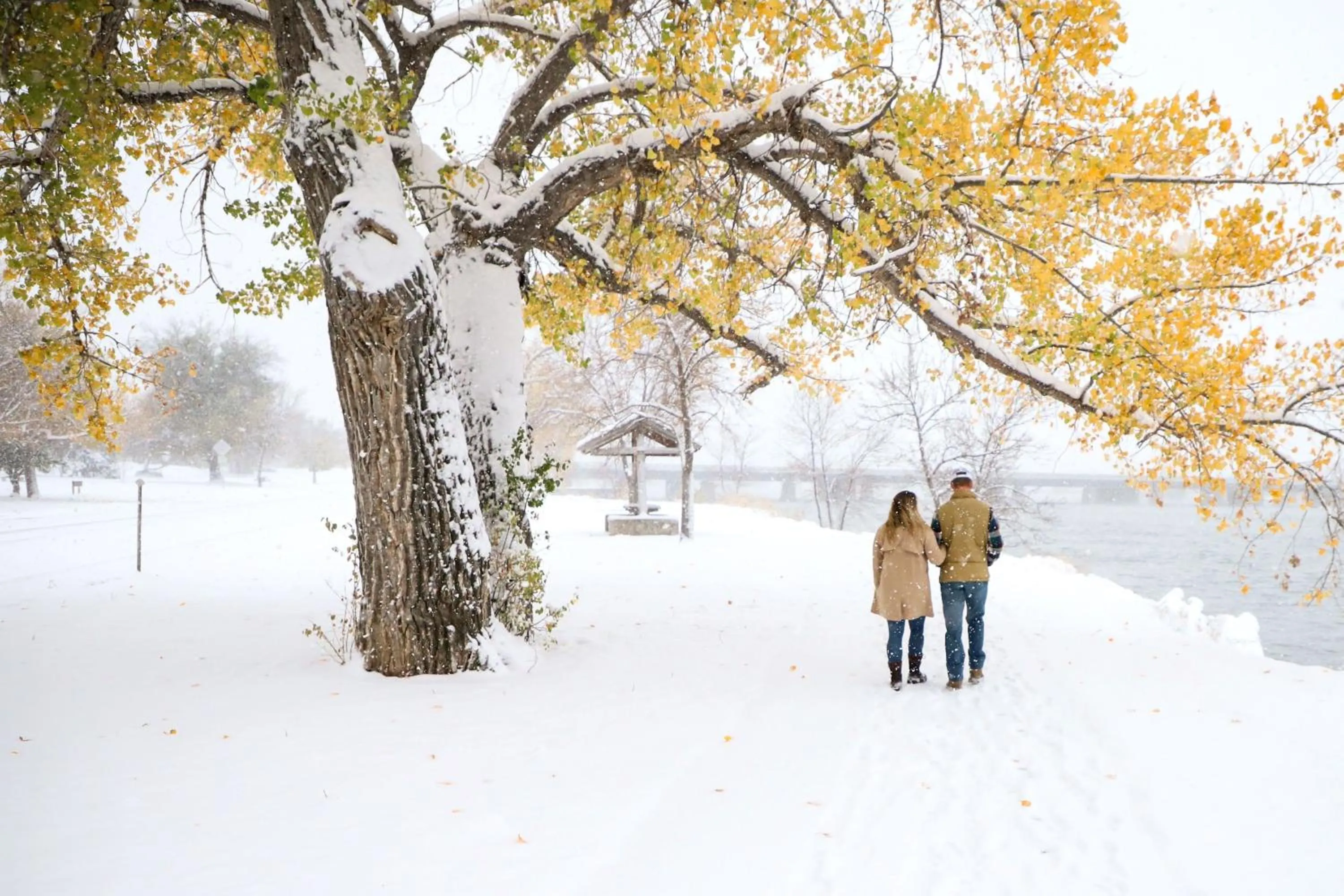 Area and facilities in Staybridge Suites Great Falls by IHG