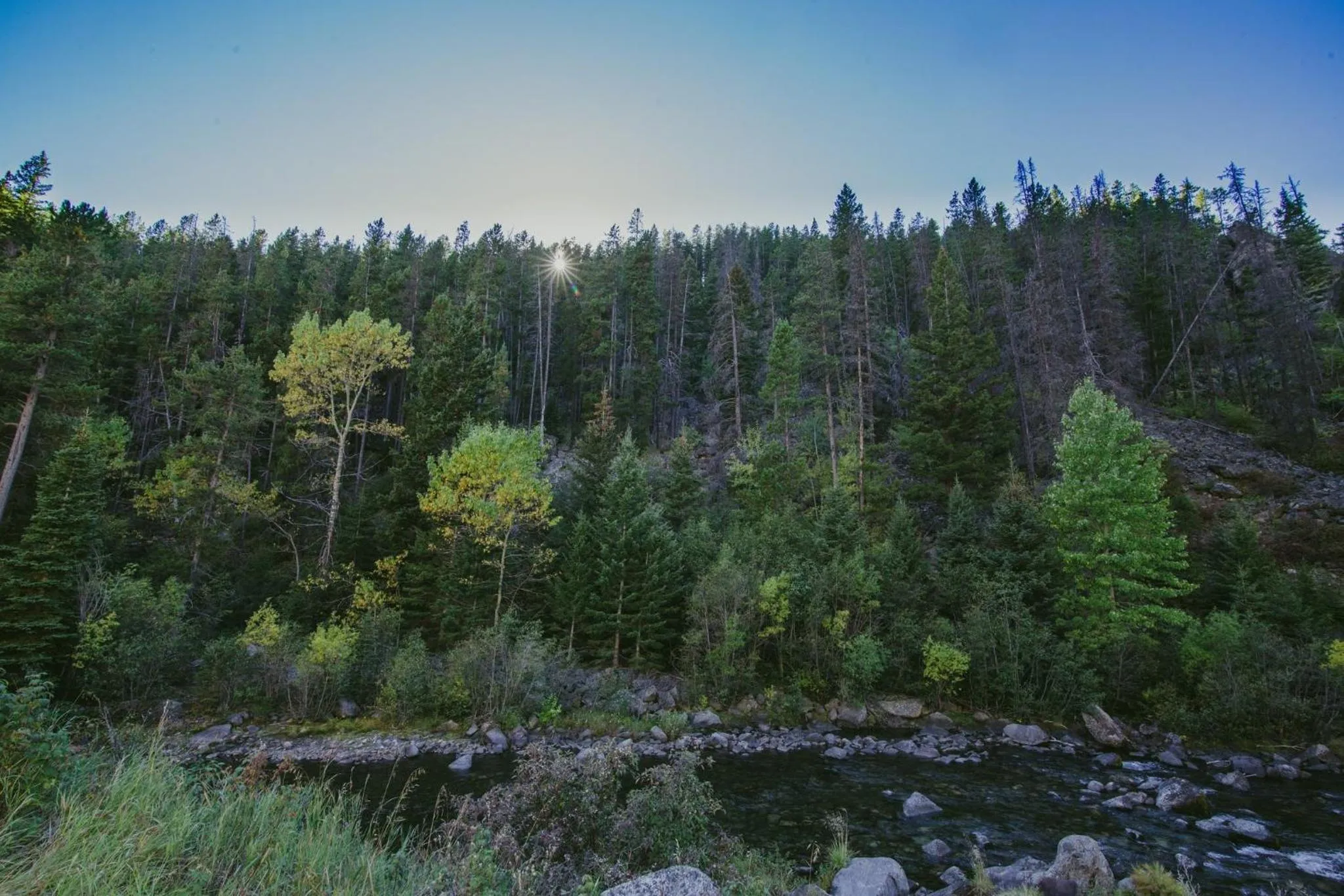 Area and facilities in Staybridge Suites Great Falls by IHG