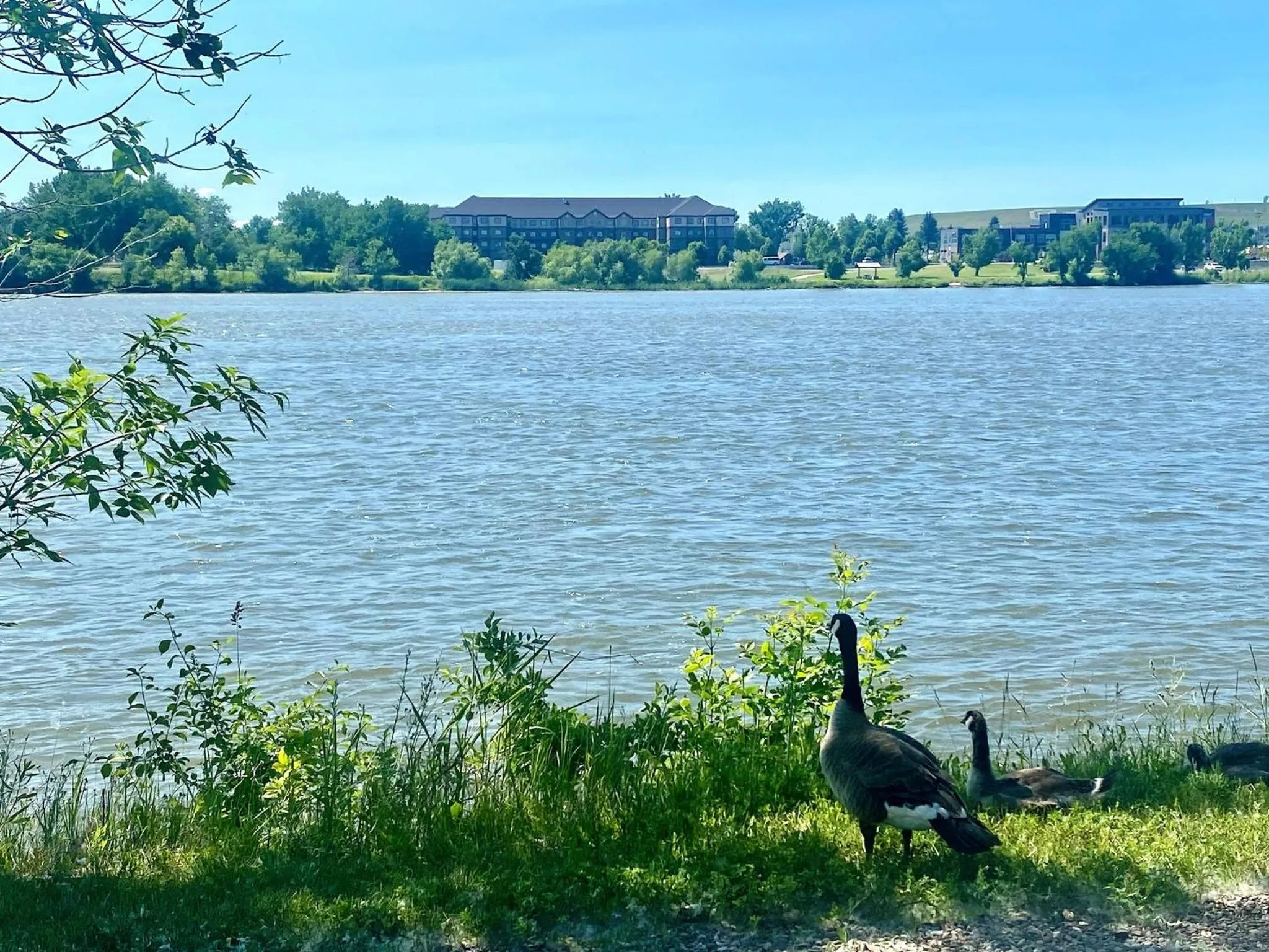 Area and facilities in Staybridge Suites Great Falls by IHG