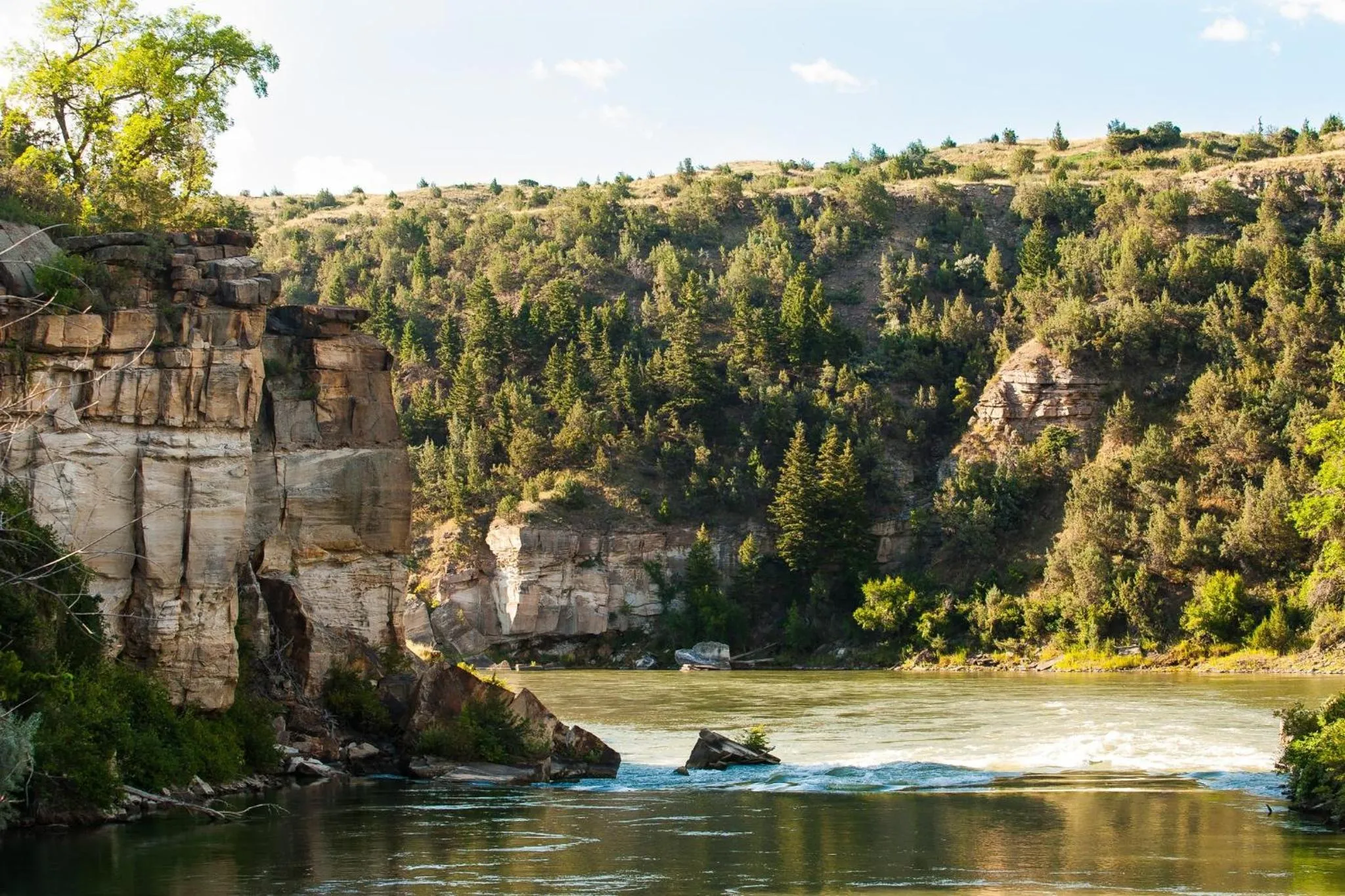 Area and facilities in Staybridge Suites Great Falls by IHG