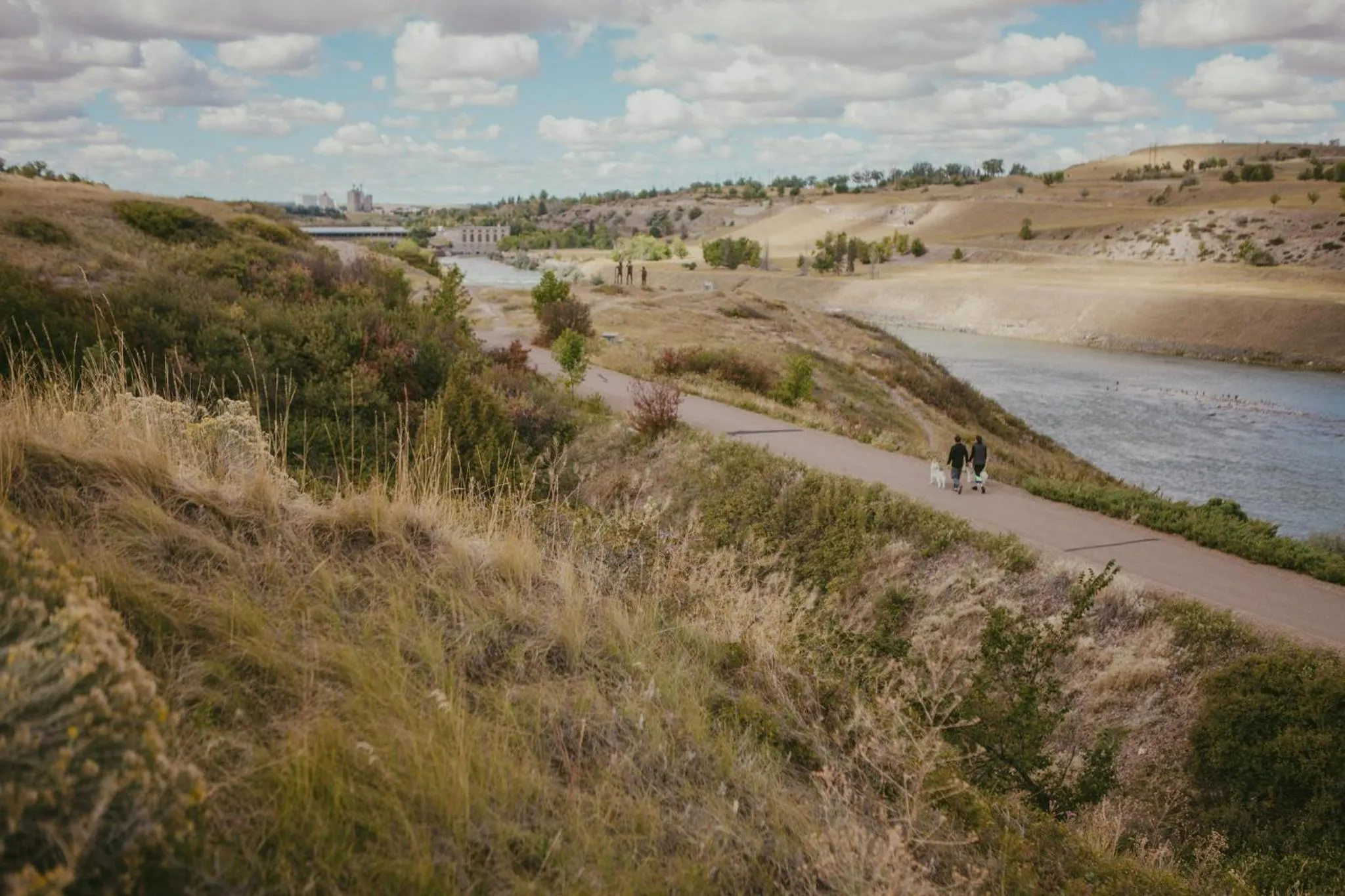Area and facilities in Staybridge Suites Great Falls by IHG