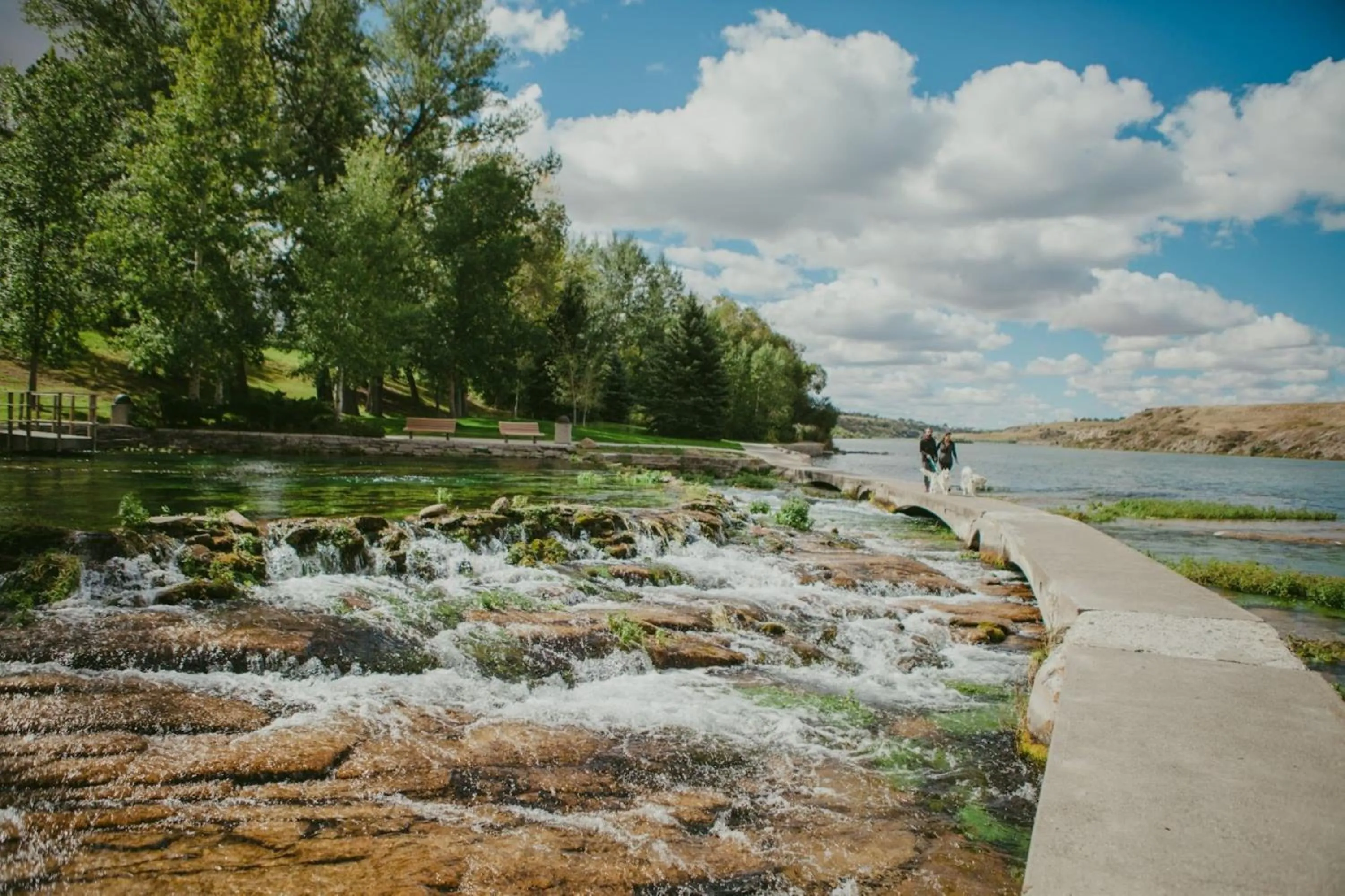Area and facilities in Staybridge Suites Great Falls by IHG