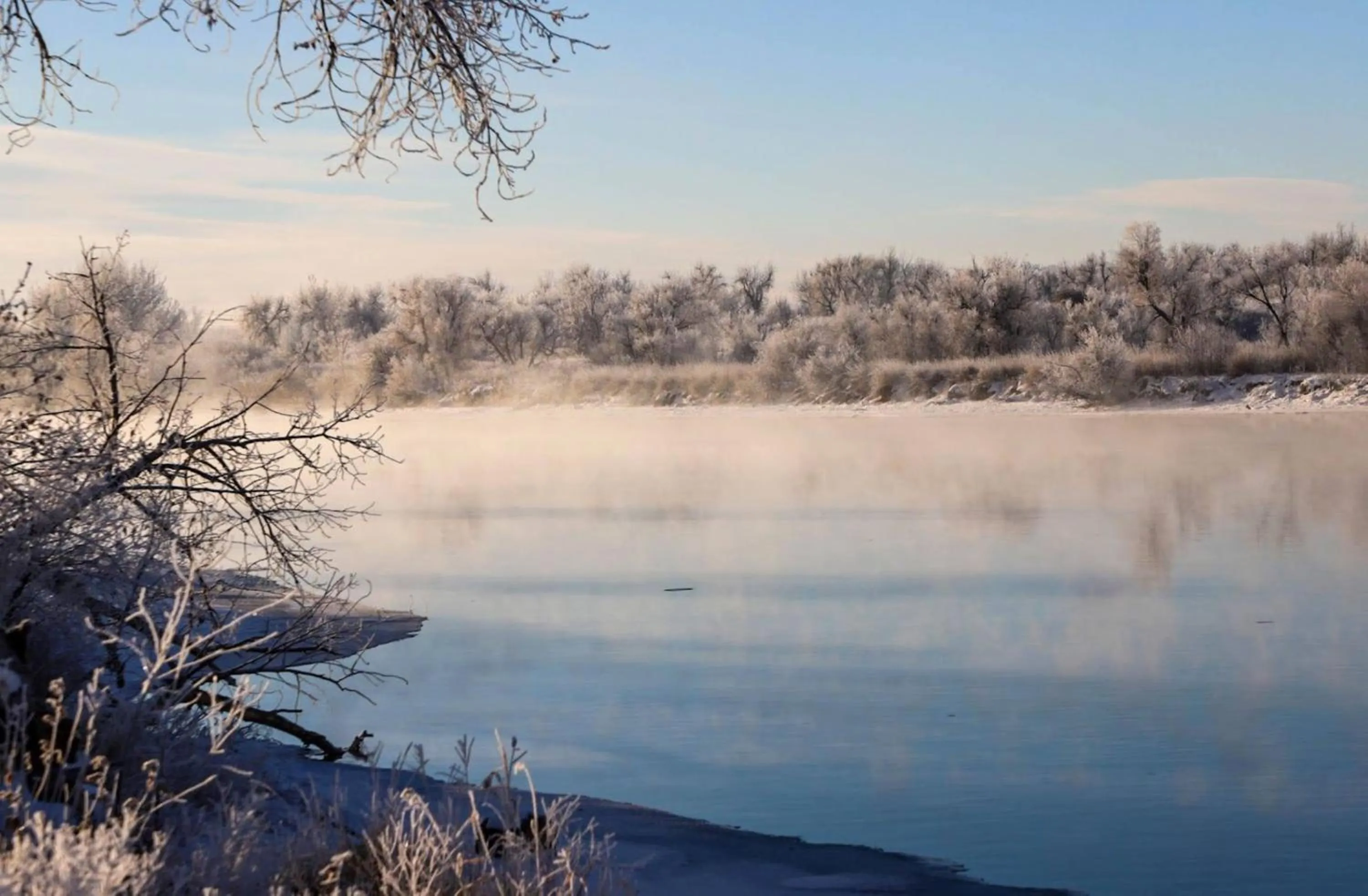 Area and facilities in Staybridge Suites Great Falls by IHG