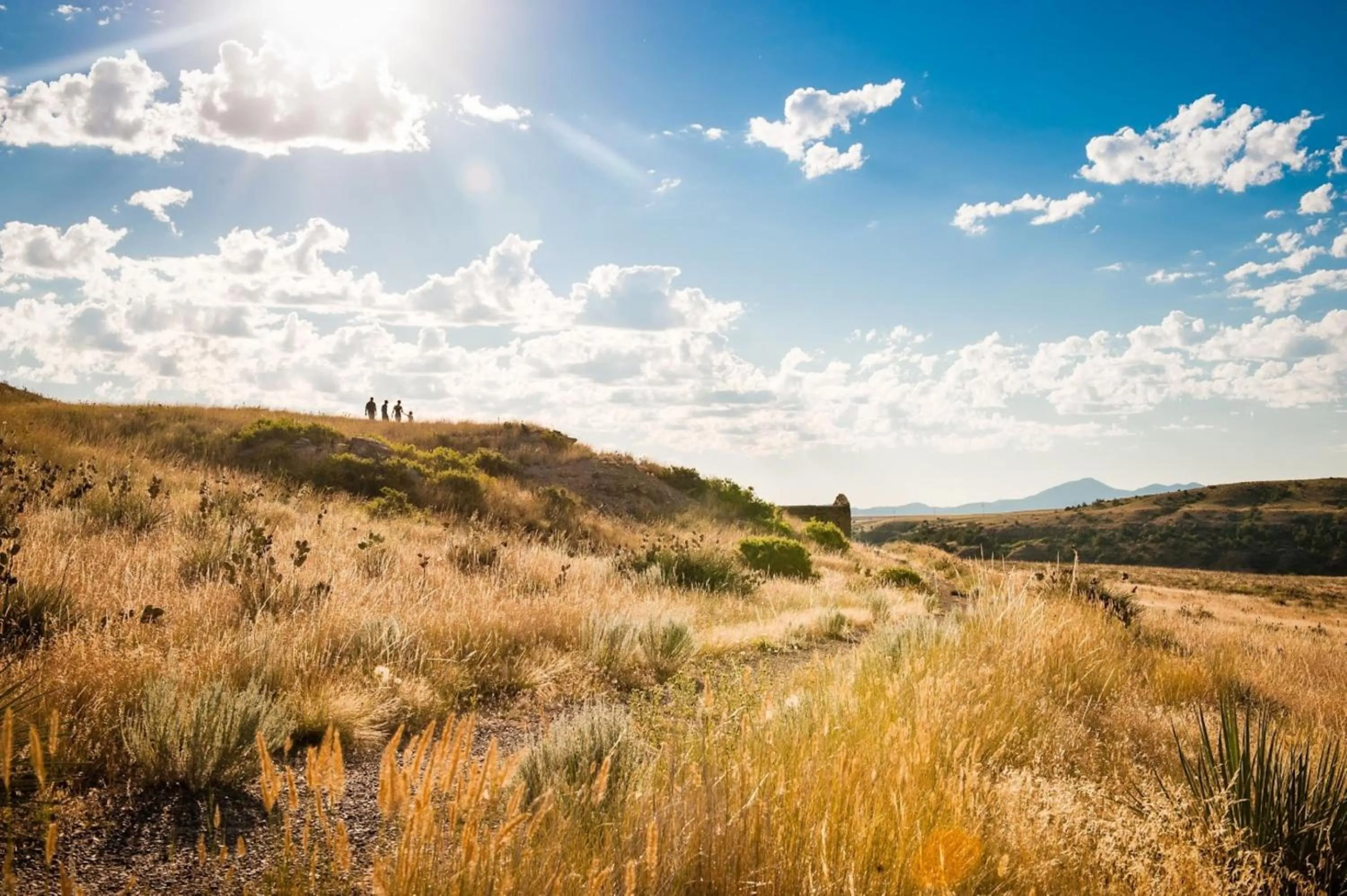 Area and facilities in Staybridge Suites Great Falls by IHG