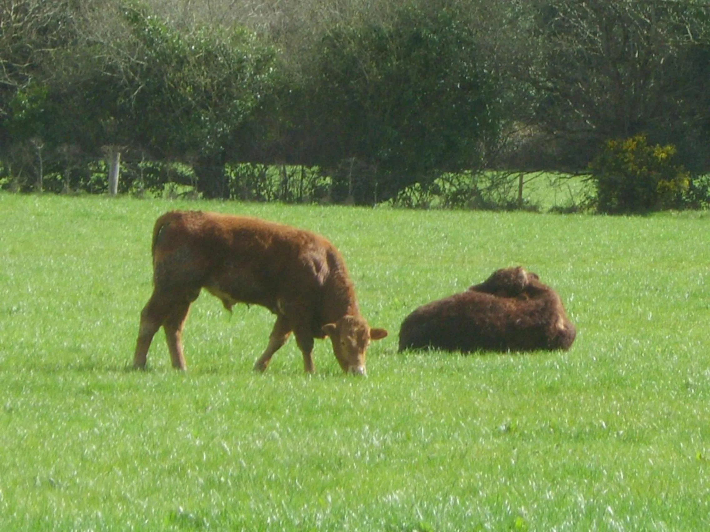 Off site in The Glen Farmhouse