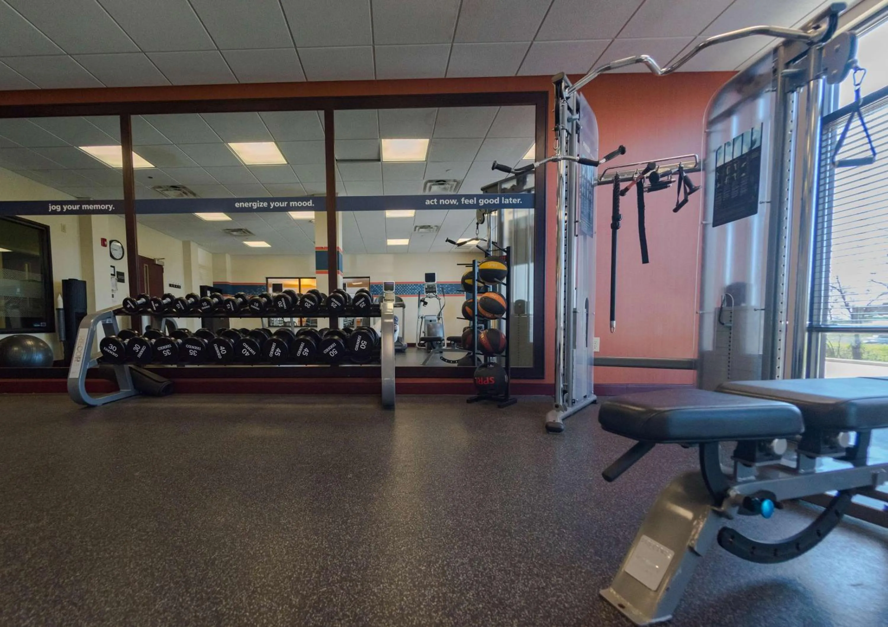 Fitness centre/facilities in Hampton Inn and Suites Woodstock, Virginia