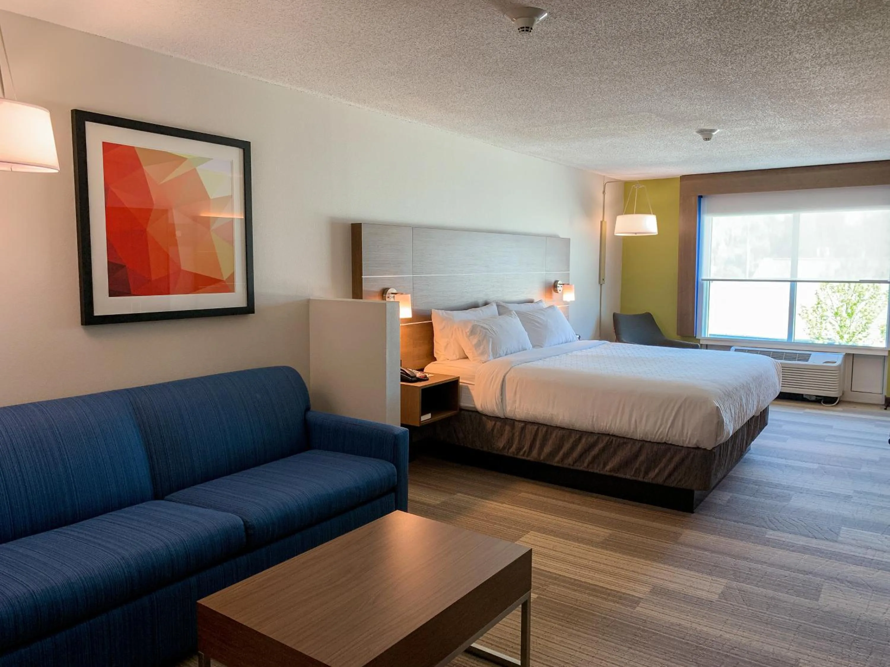 Photo of the whole room, Bed in Holiday Inn Express & Suites Lexington Downtown Area-Keeneland by IHG