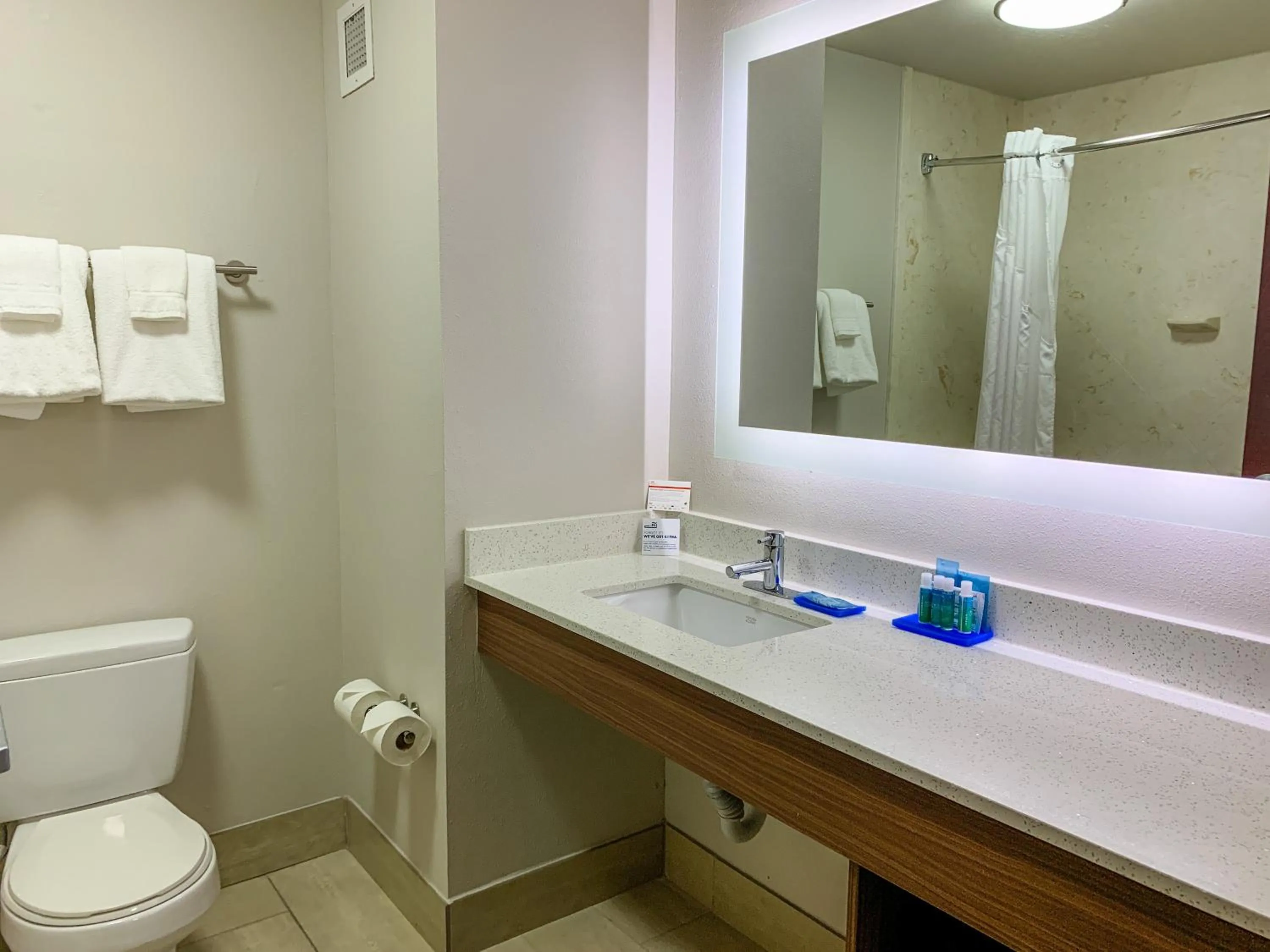 Bathroom in Holiday Inn Express & Suites Lexington Downtown Area-Keeneland by IHG