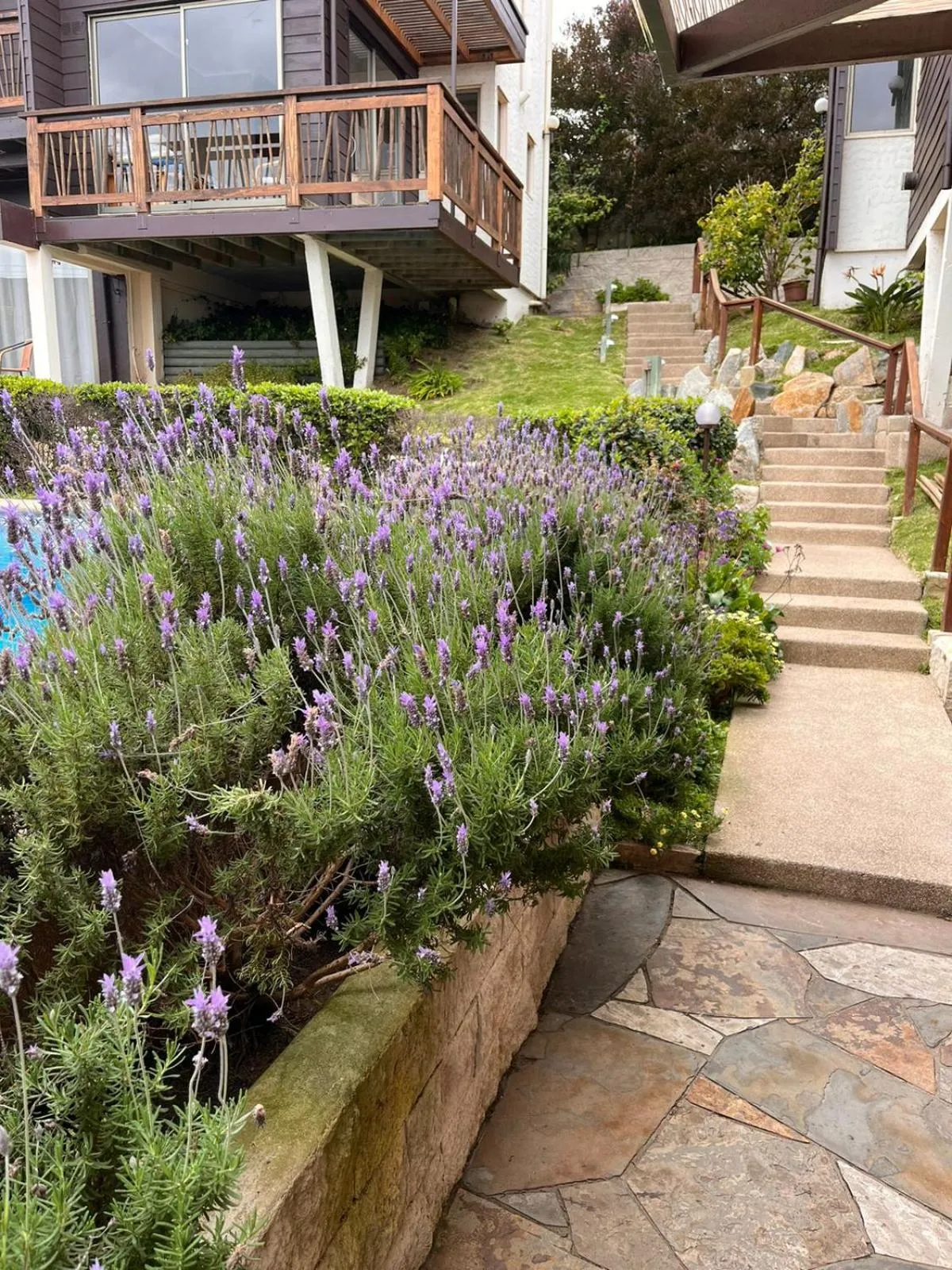 Property building in Blumen Hotel