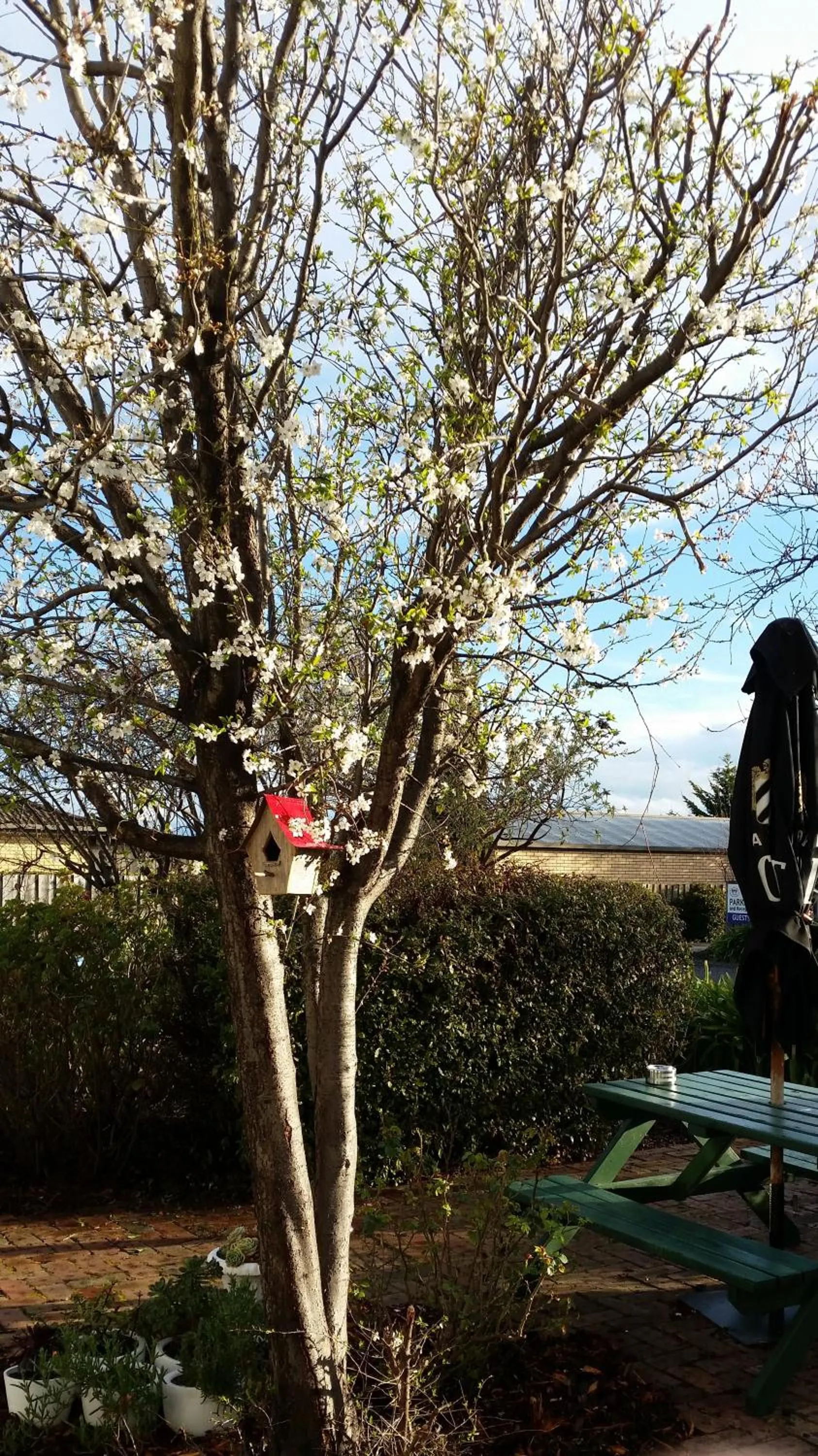 Garden in Sorell Barracks