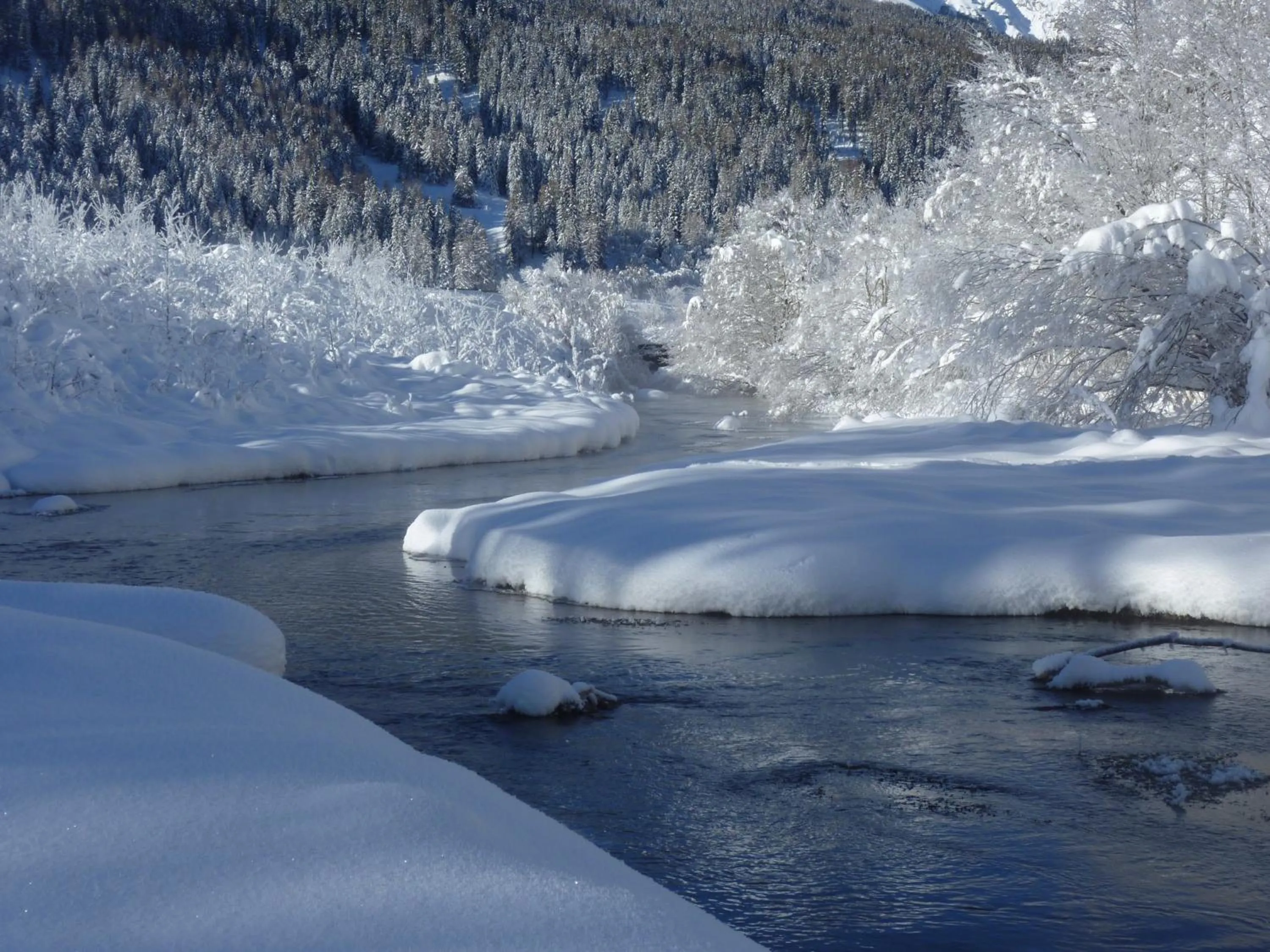 Natural landscape in Hotel Helvetia