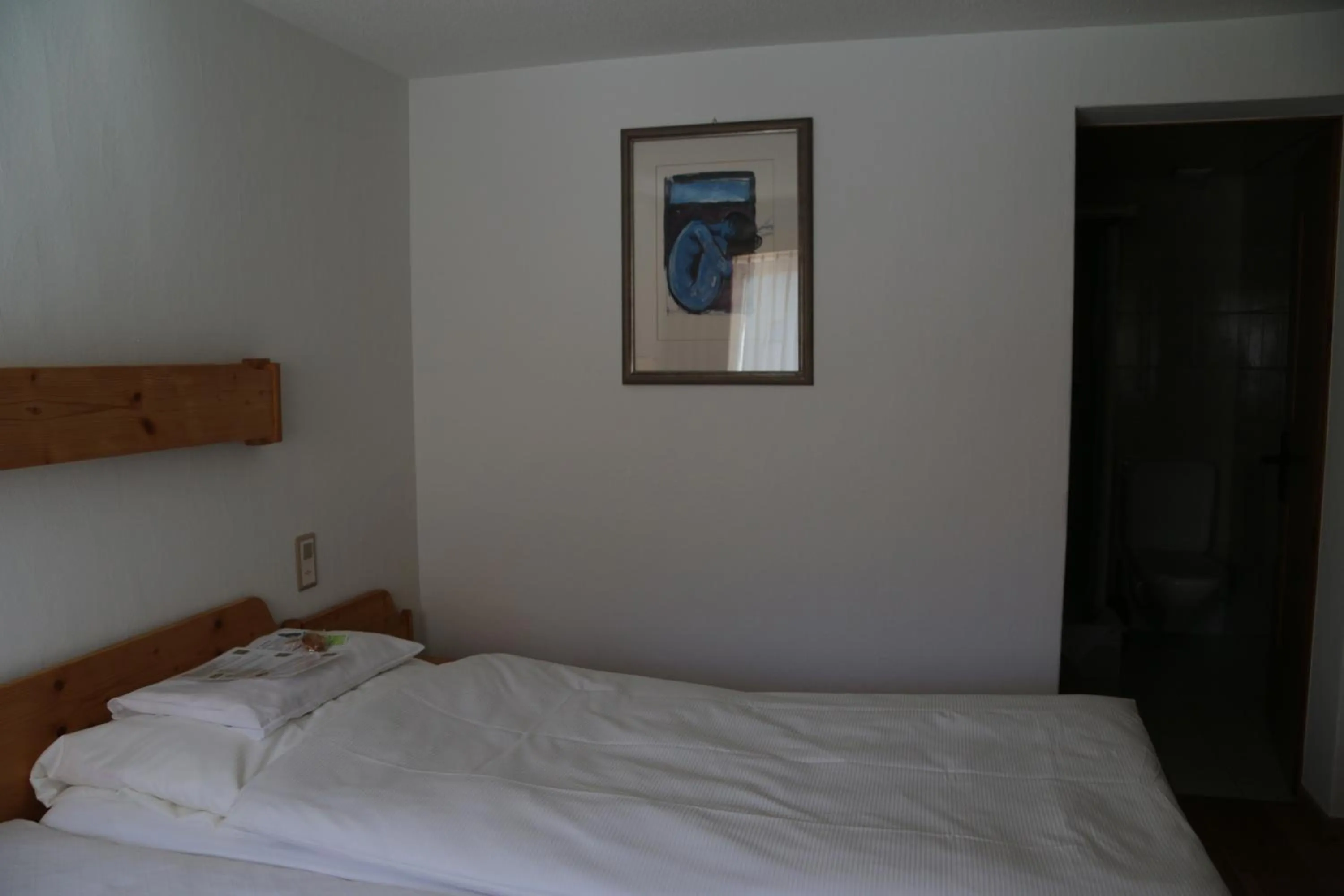 Photo of the whole room, Bed in Hotel Helvetia