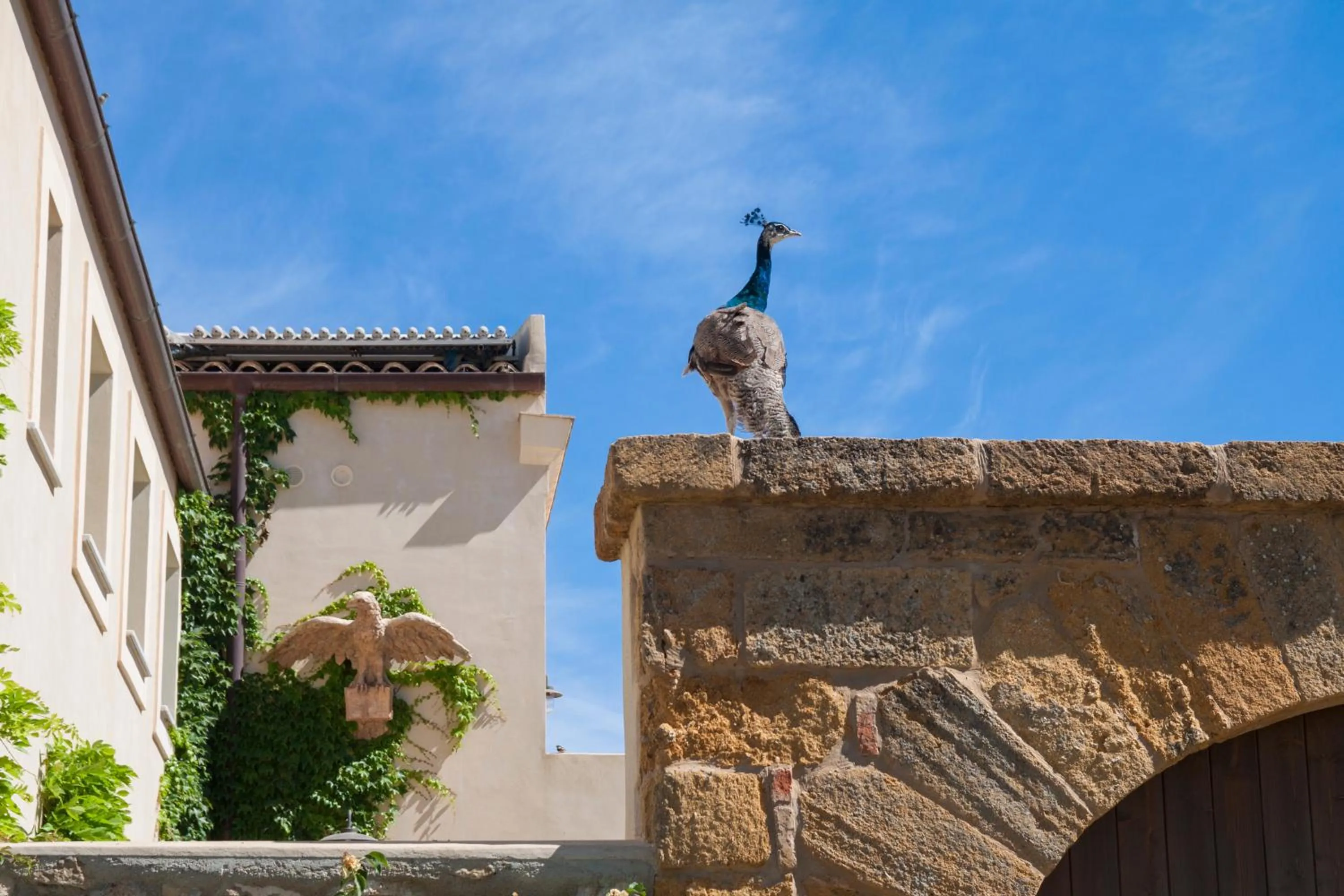 Garden in Resort Fontes Episcopi