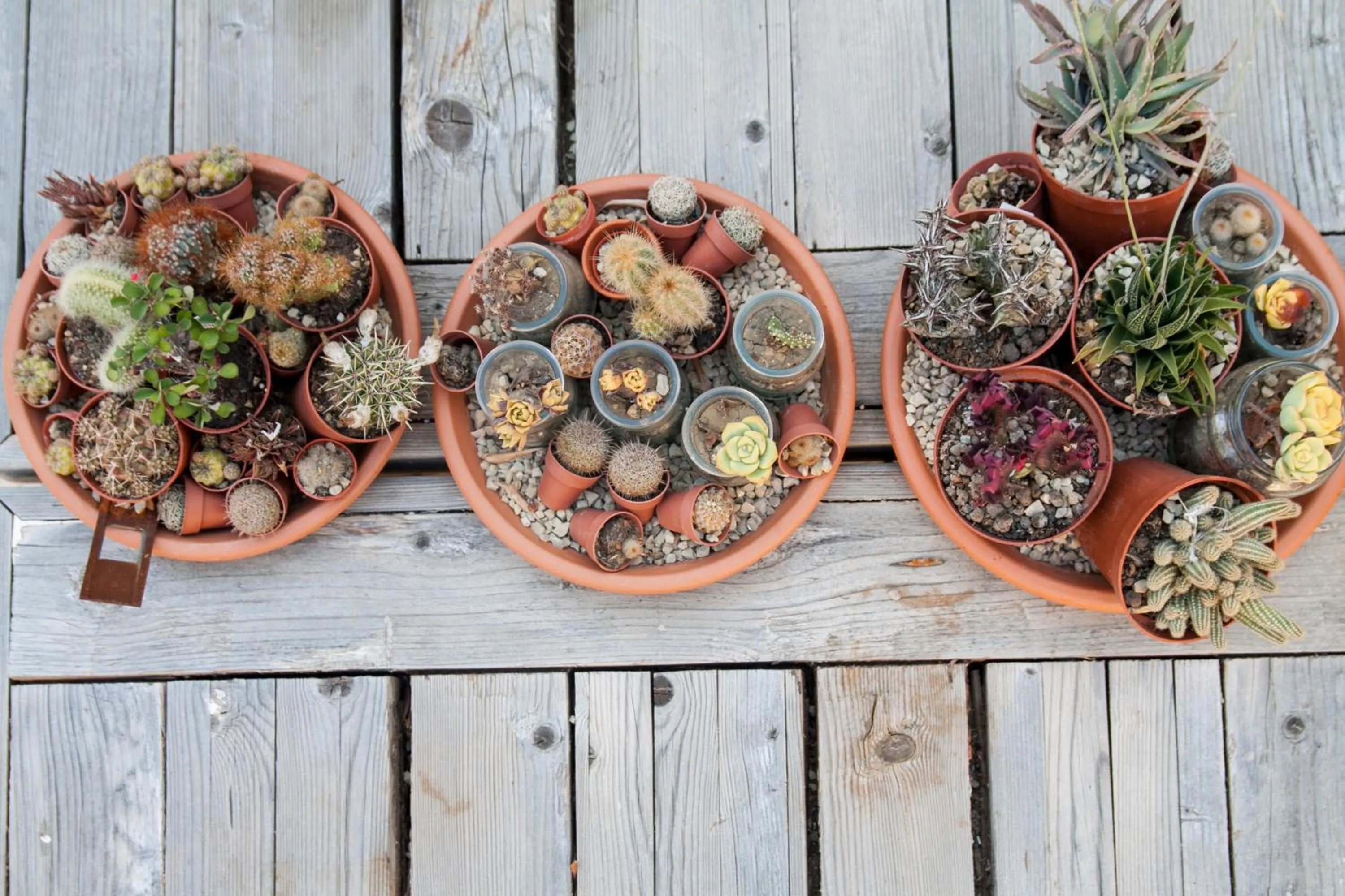 Decorative detail in Resort Fontes Episcopi