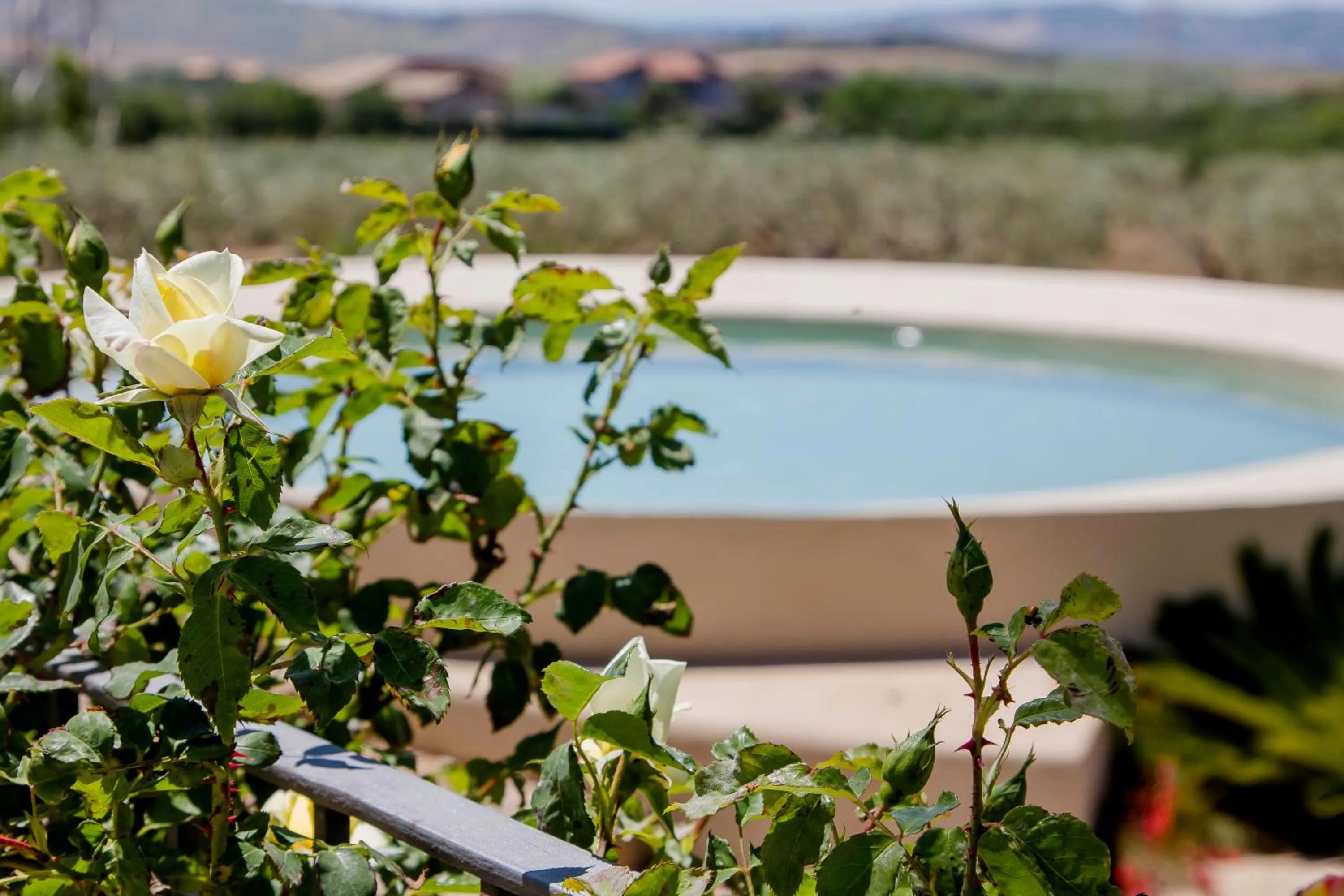 Swimming pool in Resort Fontes Episcopi