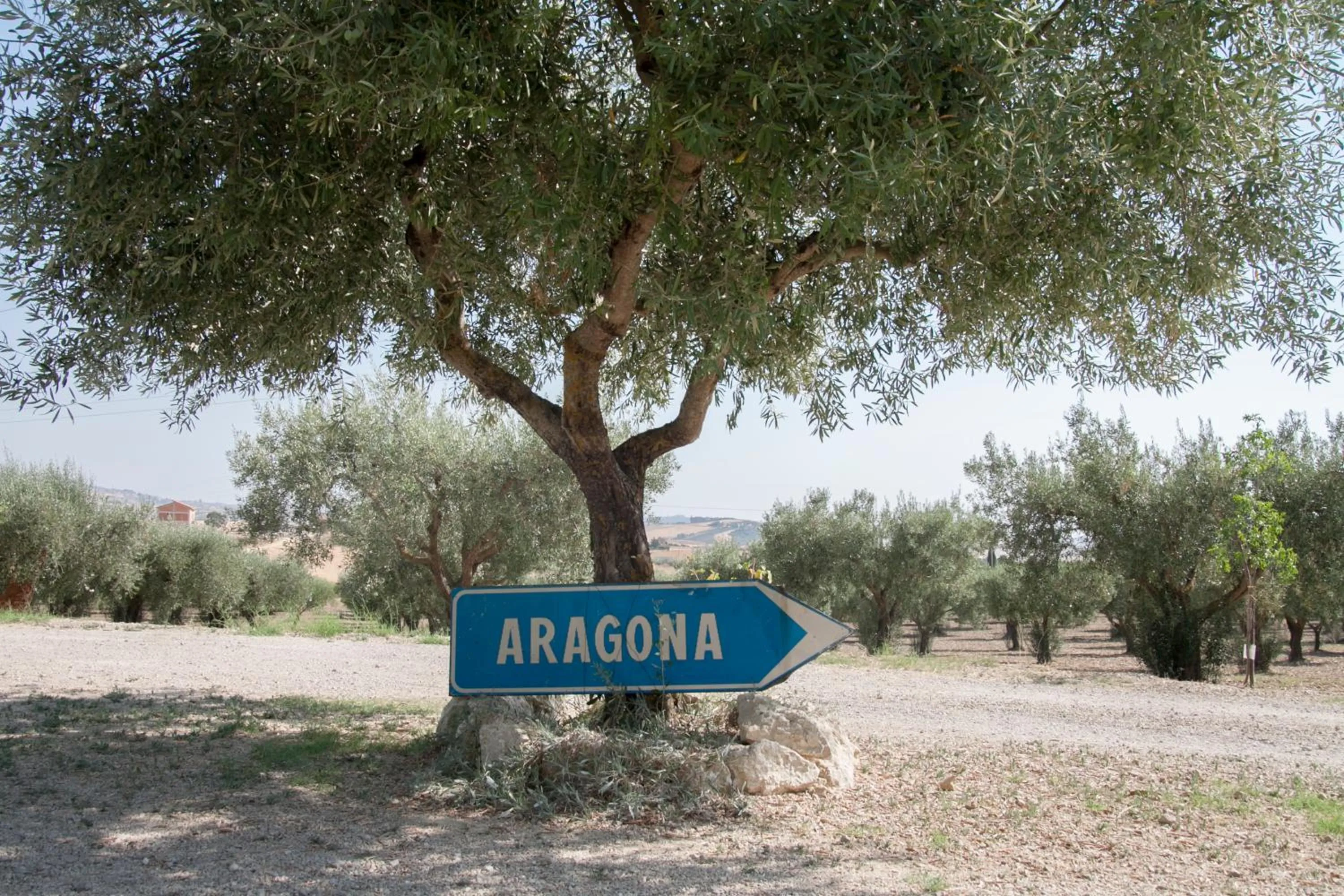 Other in Resort Fontes Episcopi