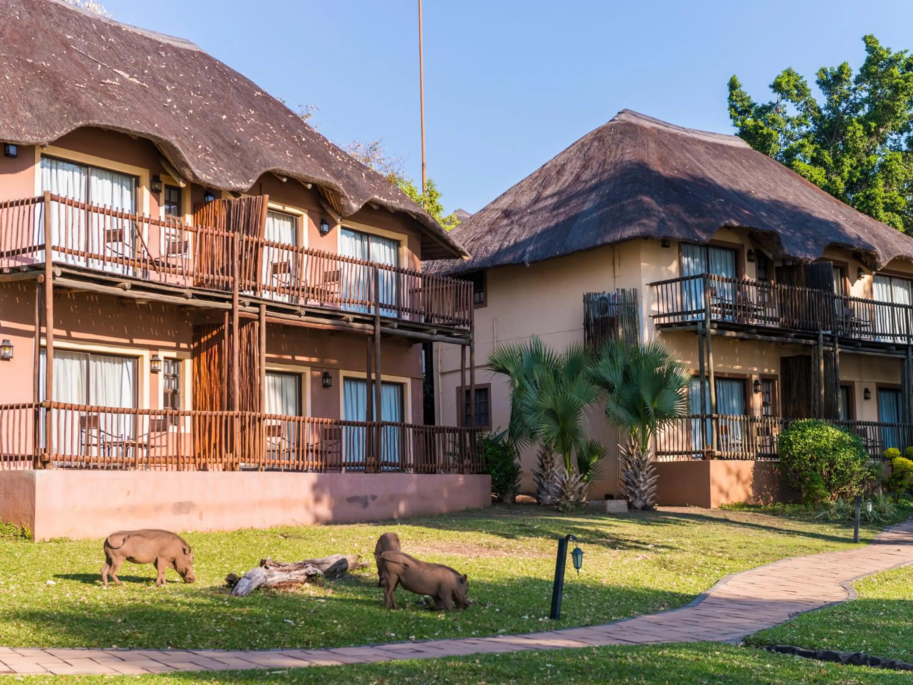 Property building in Chobe Marina Lodge