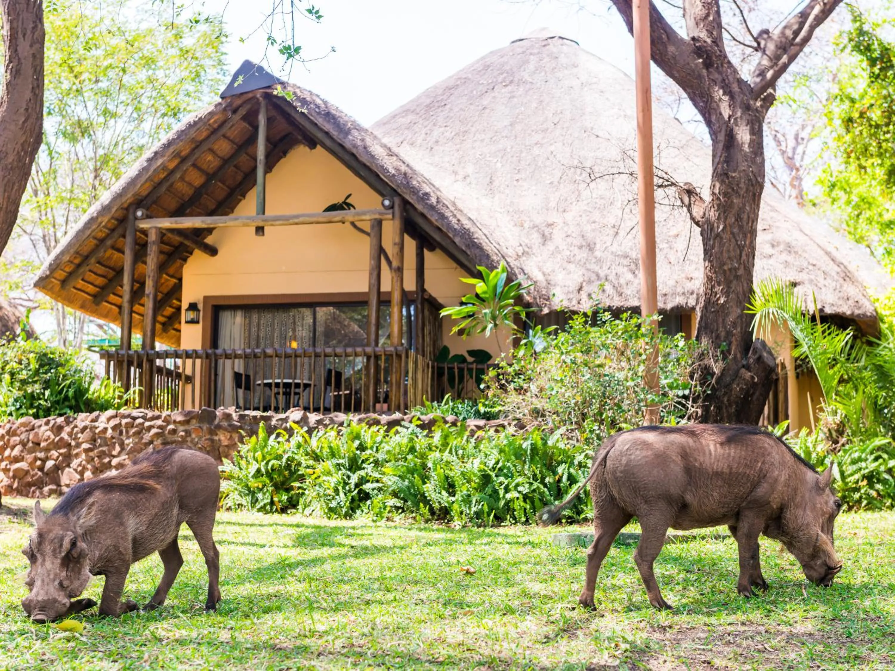 Garden in Chobe Marina Lodge