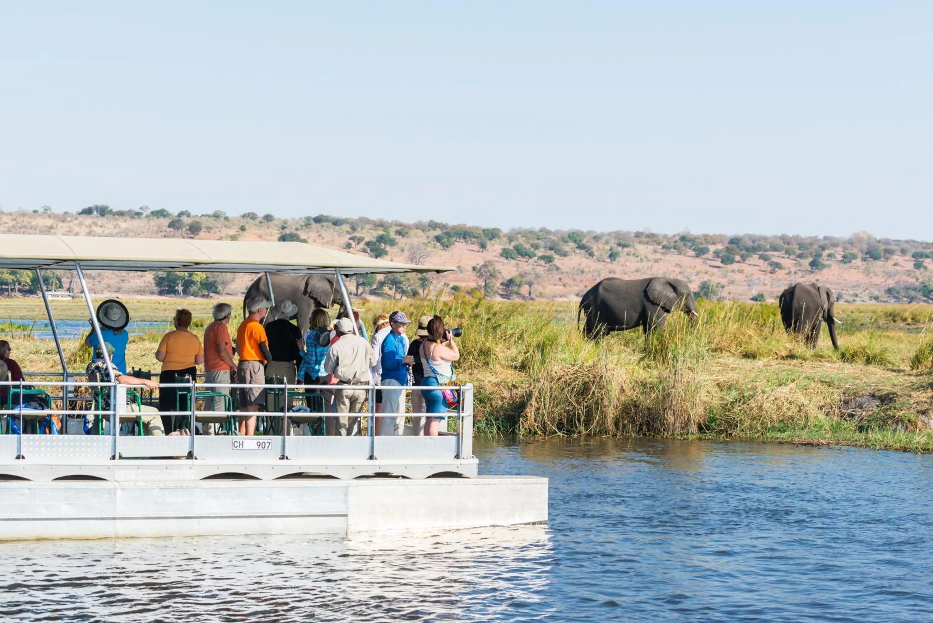 Animals in Chobe Marina Lodge