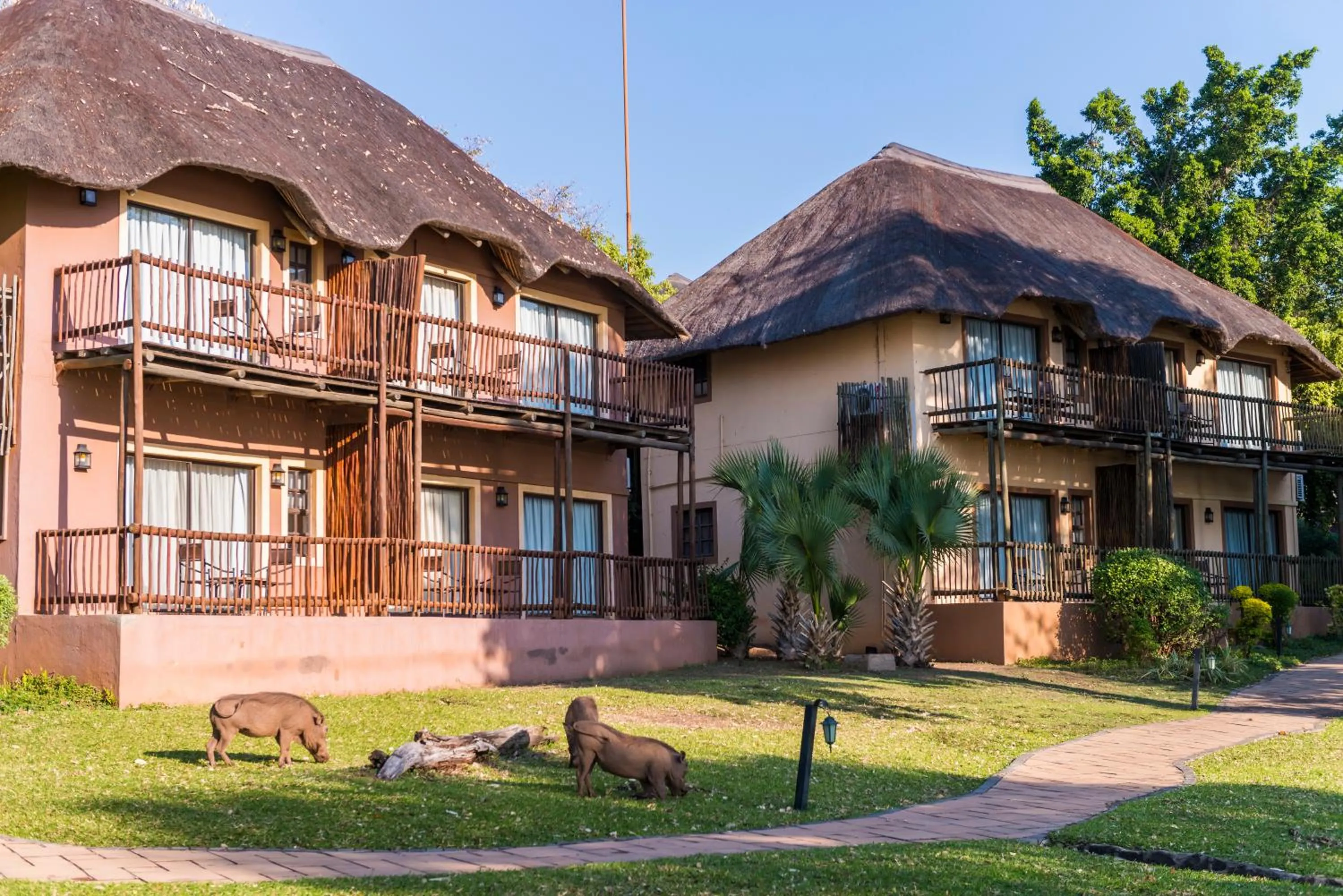 Property building in Chobe Marina Lodge