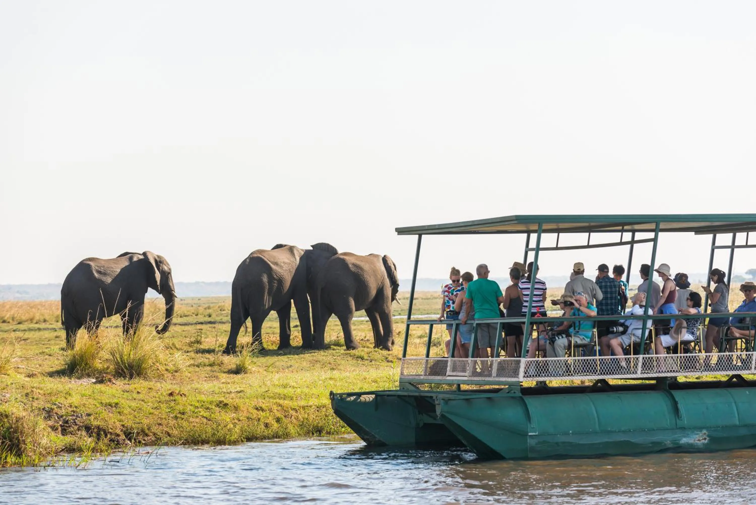 Activities in Chobe Marina Lodge