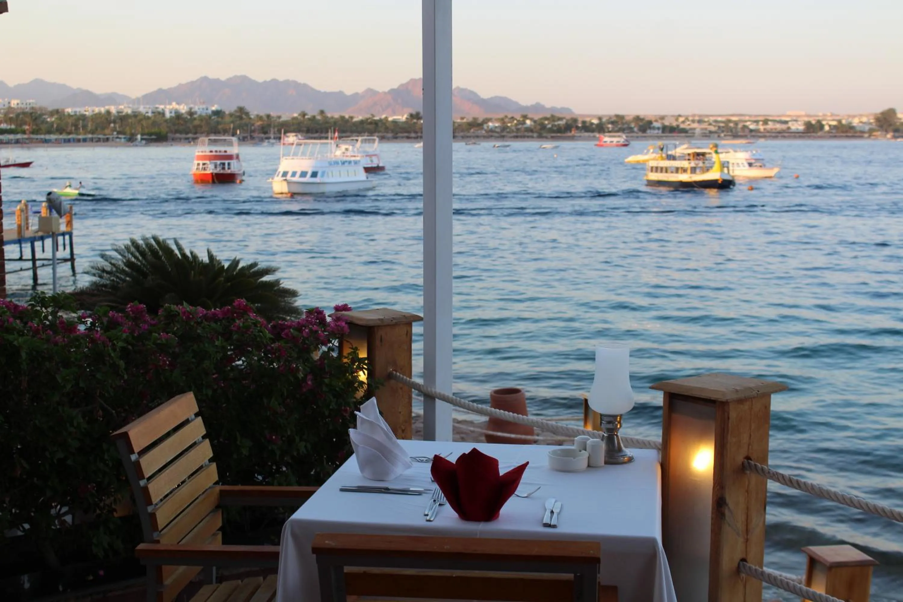 Restaurant/places to eat in Lido Sharm Hotel Naama Bay
