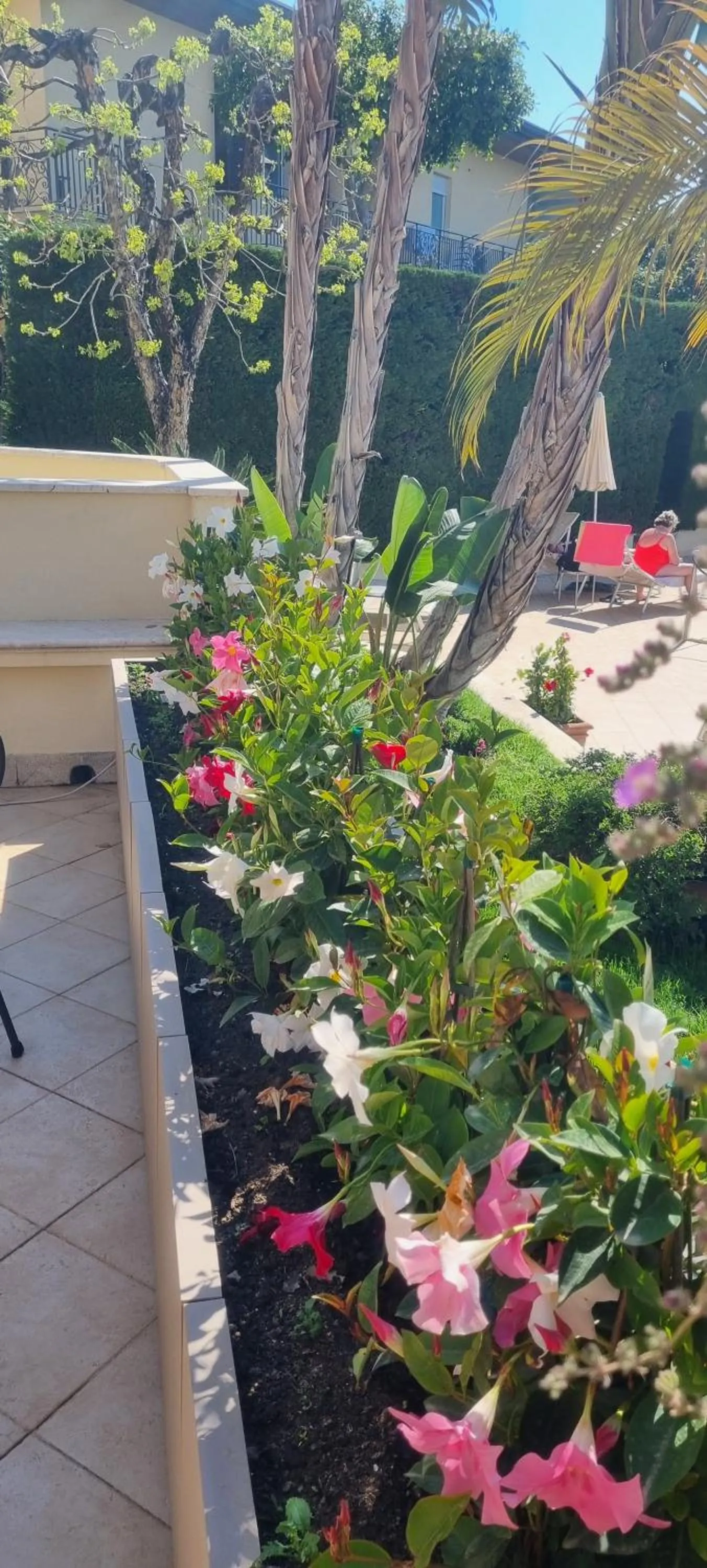 Garden in Villa Daphne