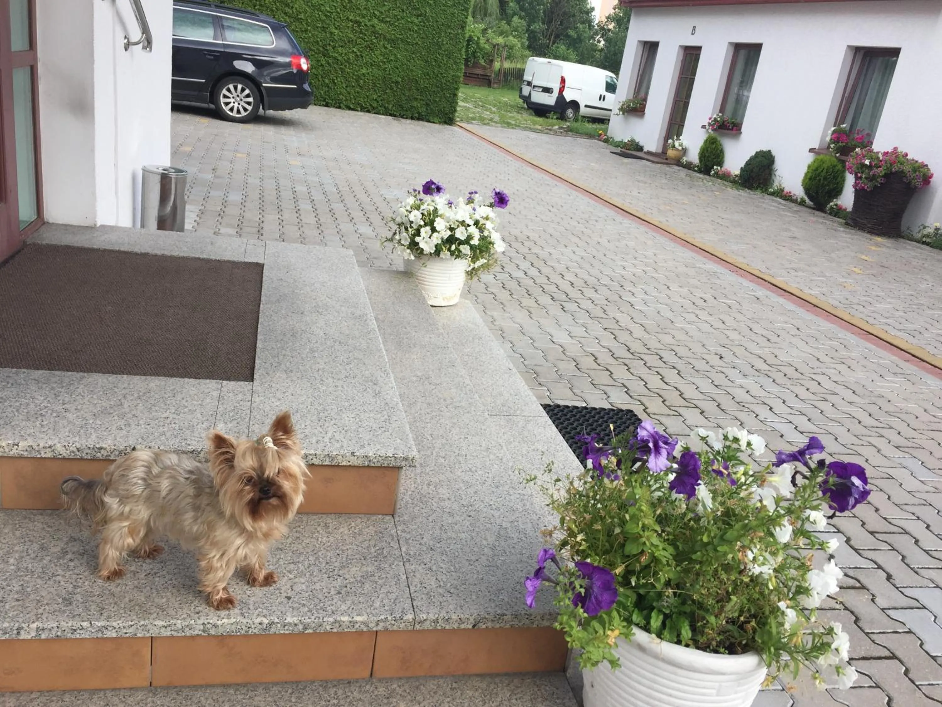 Property building in Panorama BH