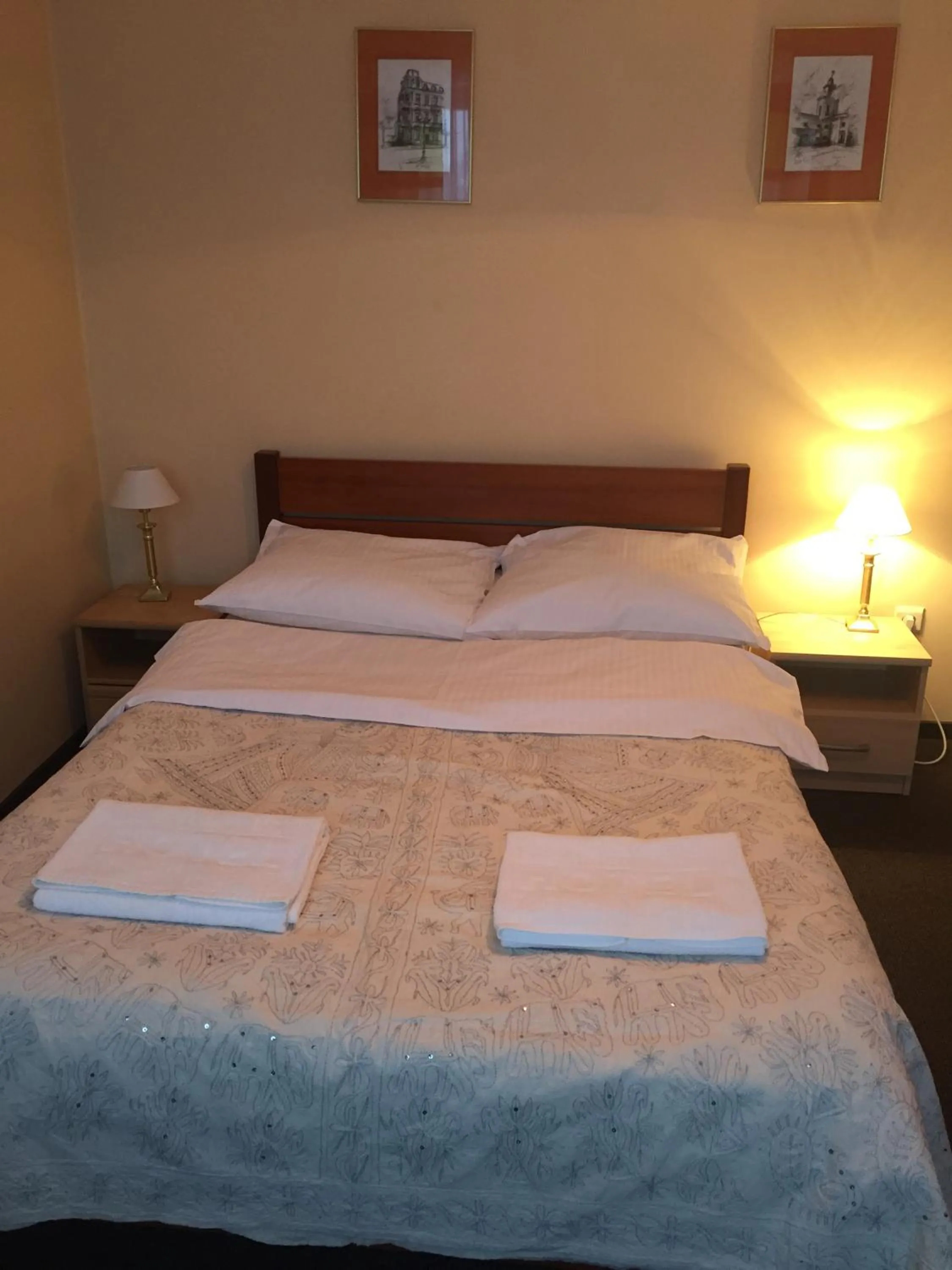 Photo of the whole room, Bed in Panorama BH