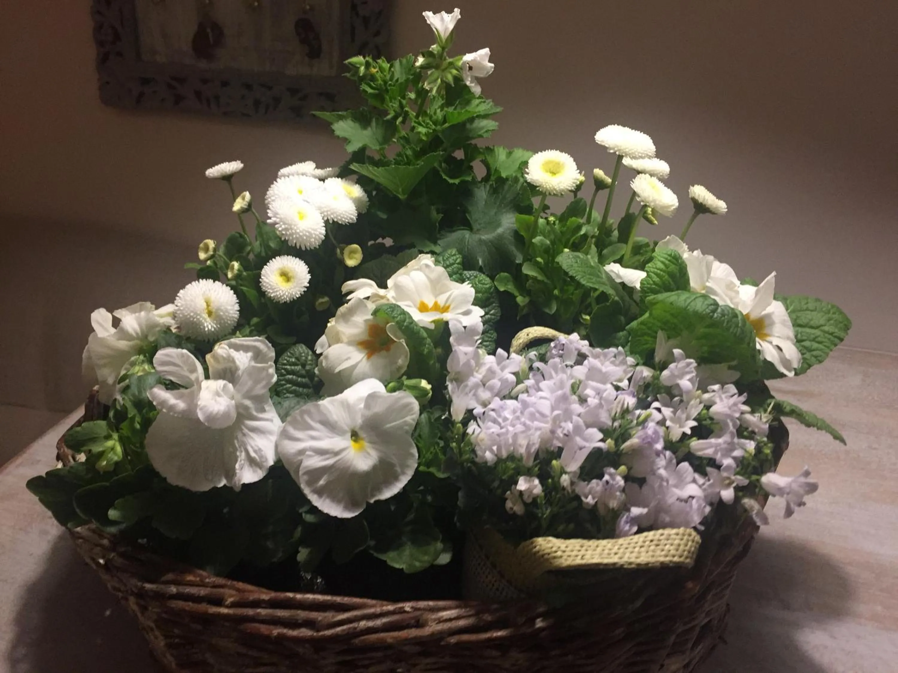 Lobby or reception in Panorama BH