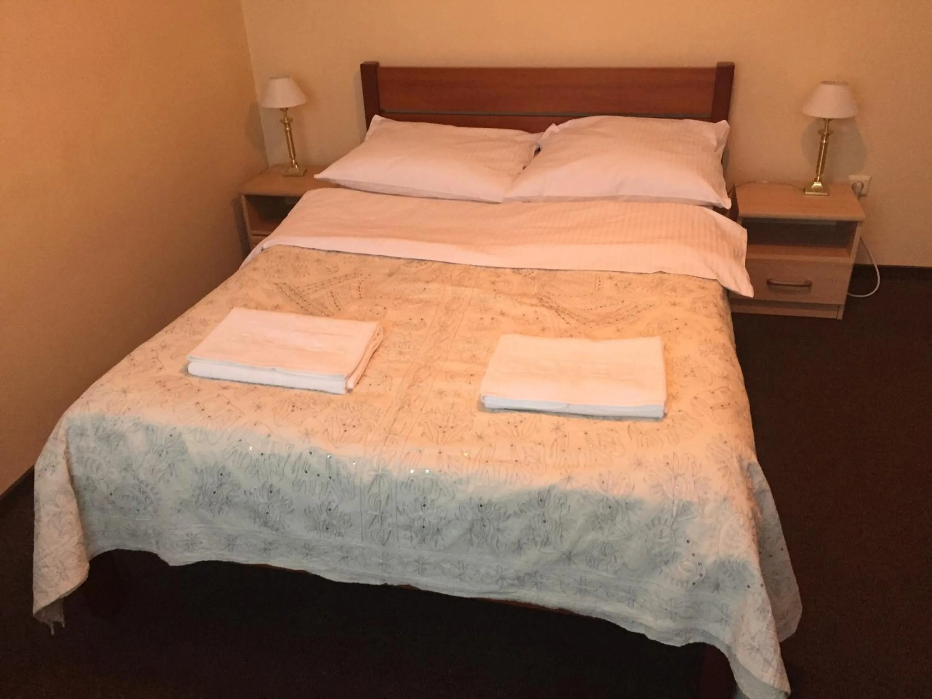 Photo of the whole room, Bed in Panorama BH