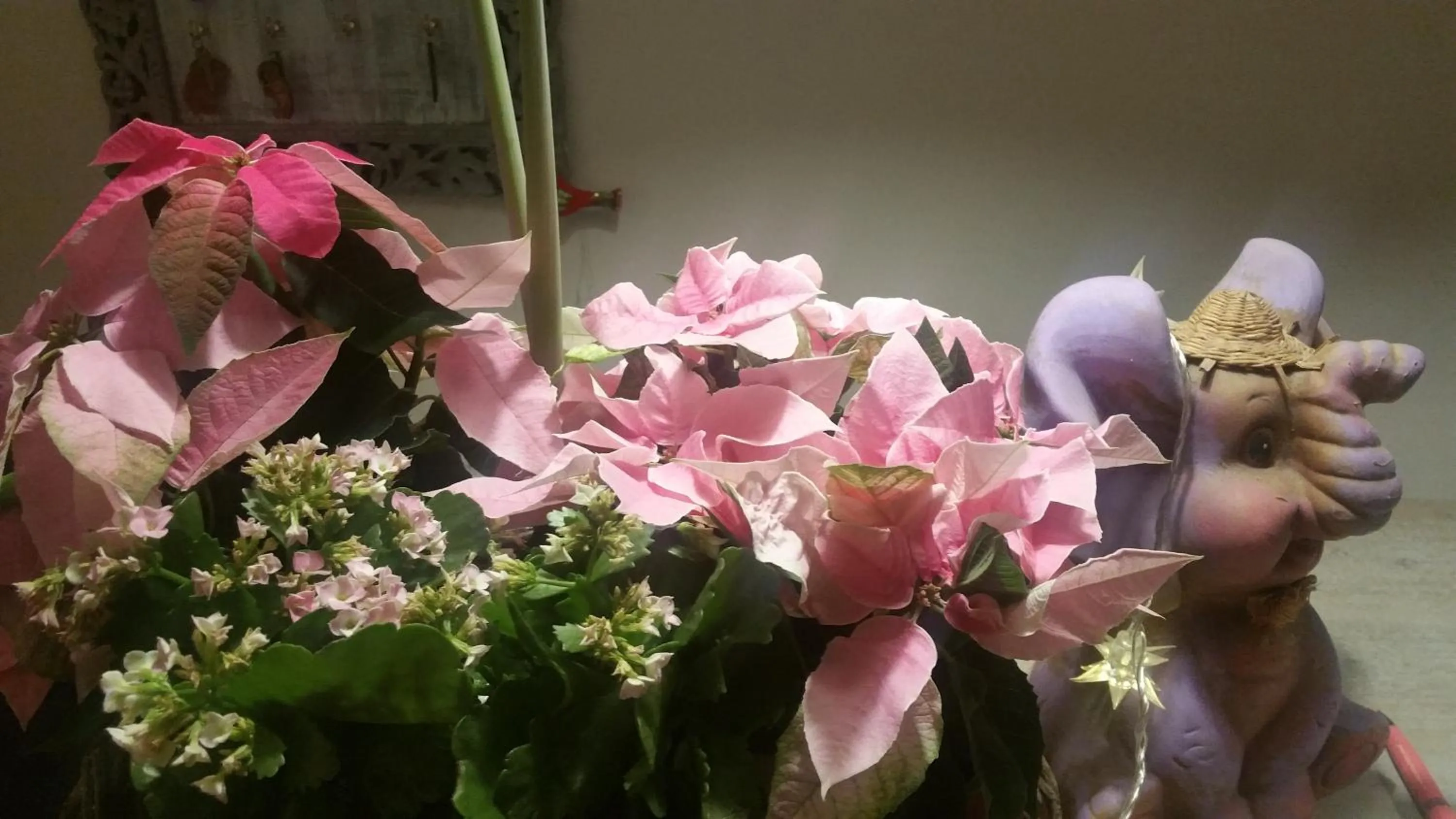 Decorative detail in Panorama BH