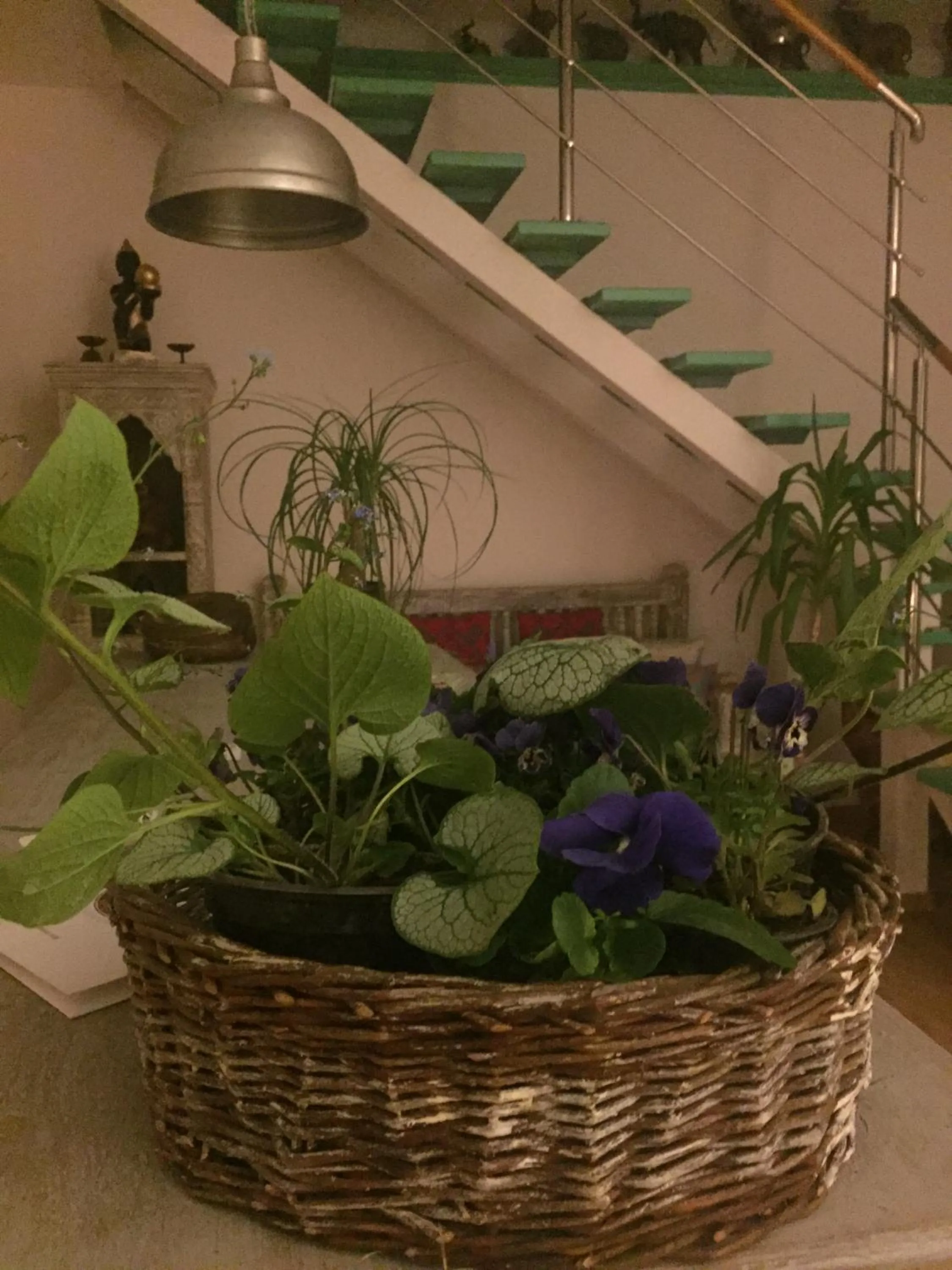 Lobby or reception in Panorama BH