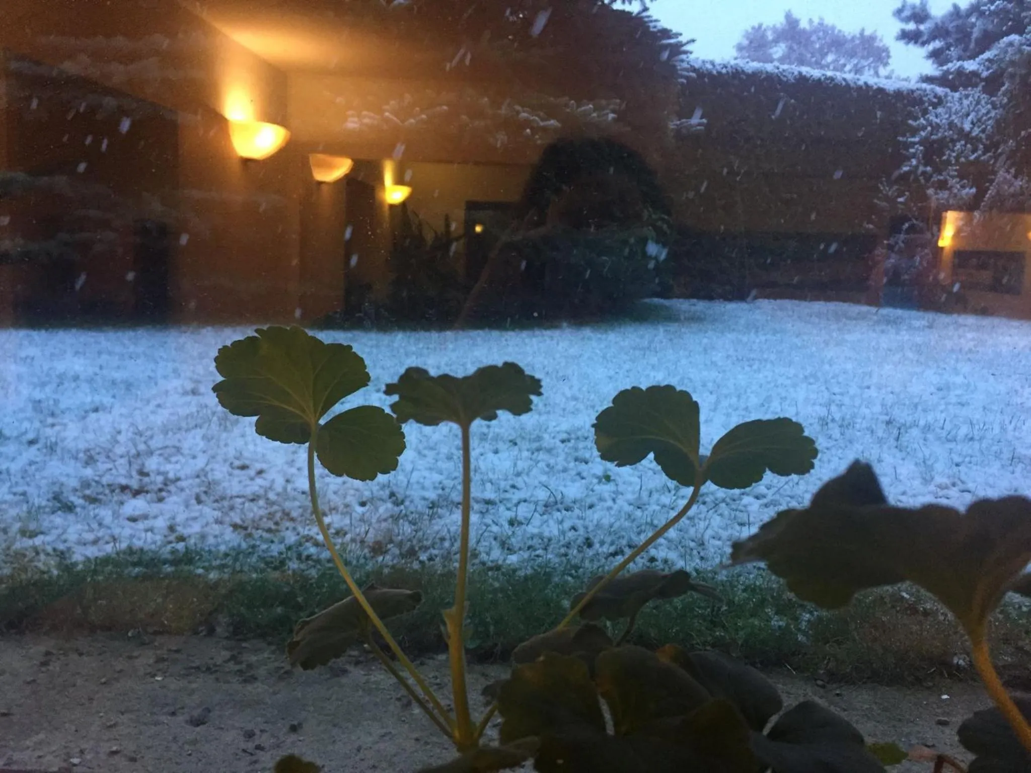 Natural landscape in Panorama BH