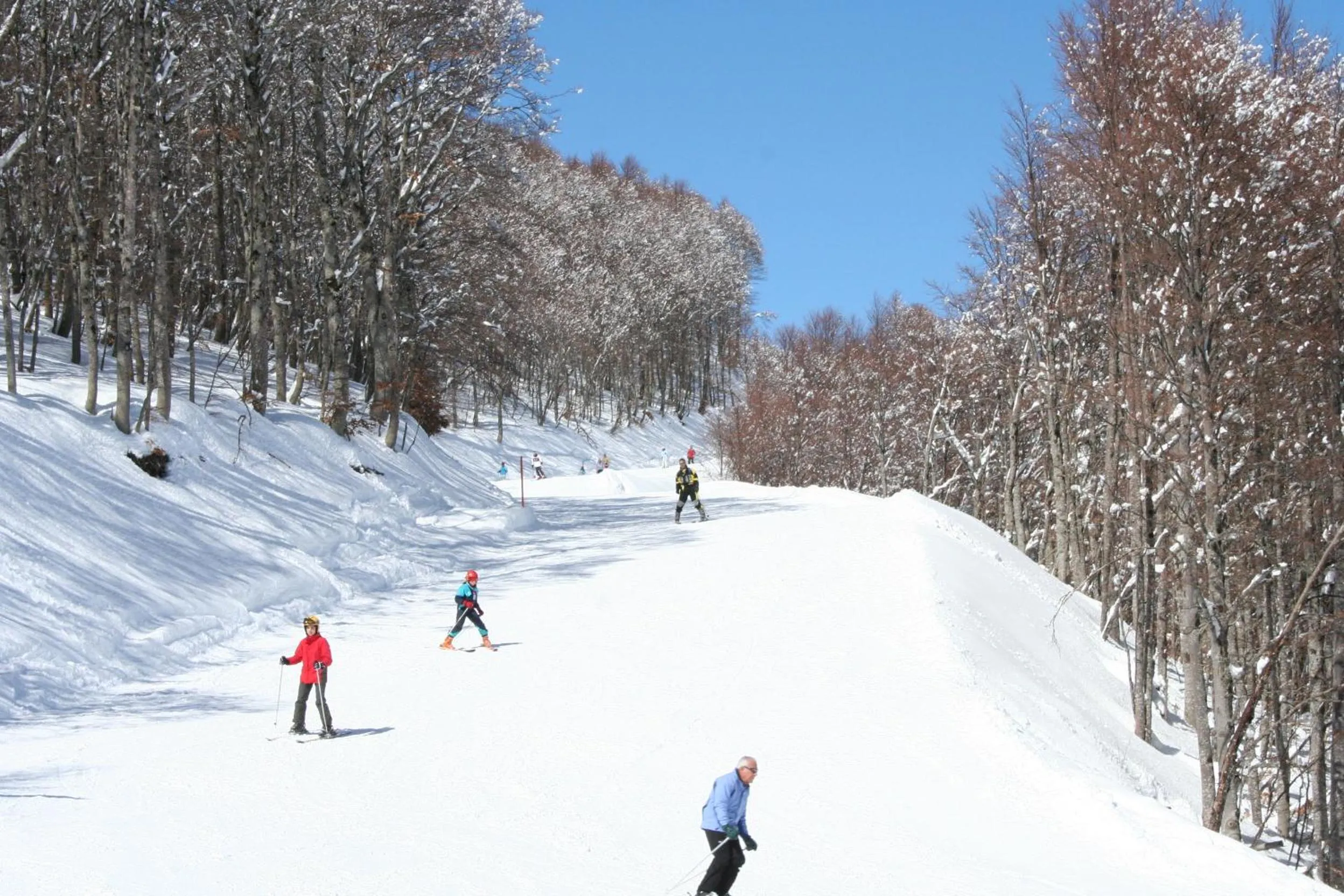 Nearby landmark in Hotel Holidays