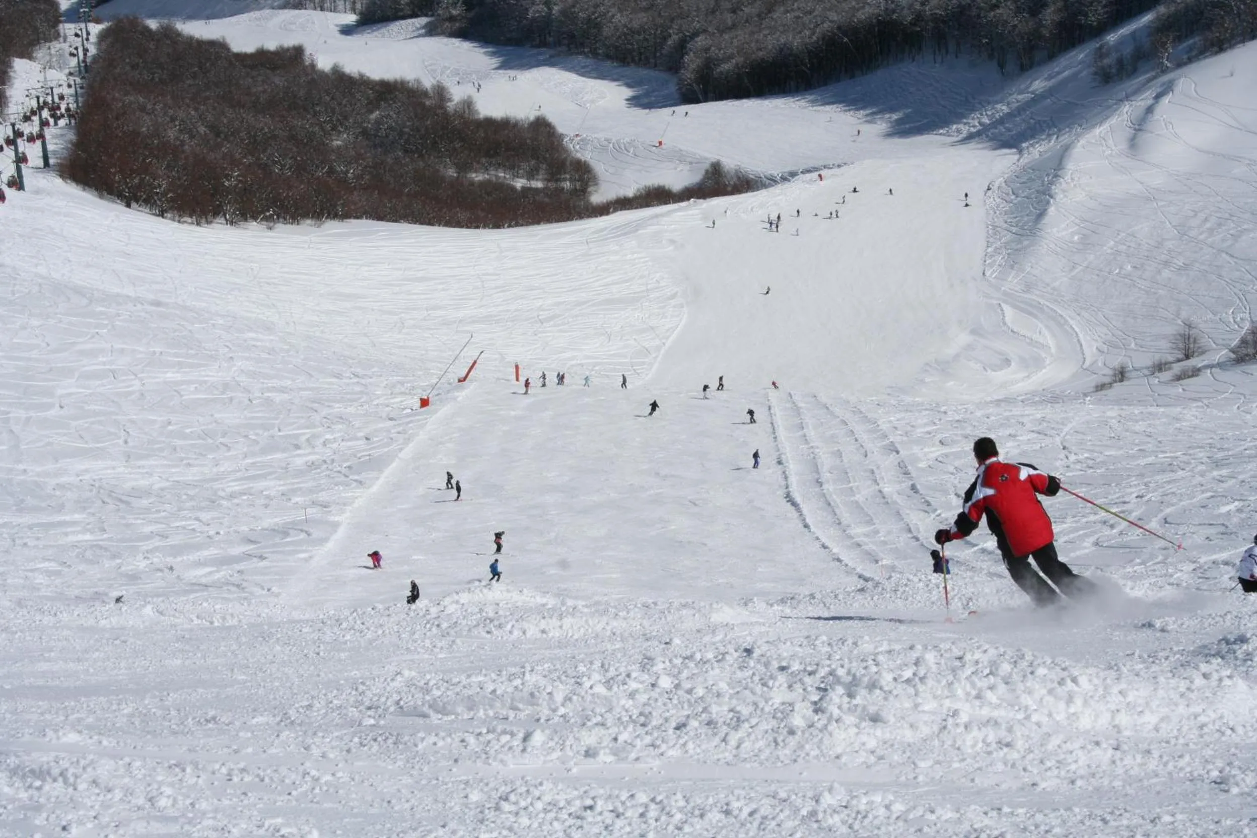 Nearby landmark in Hotel Holidays