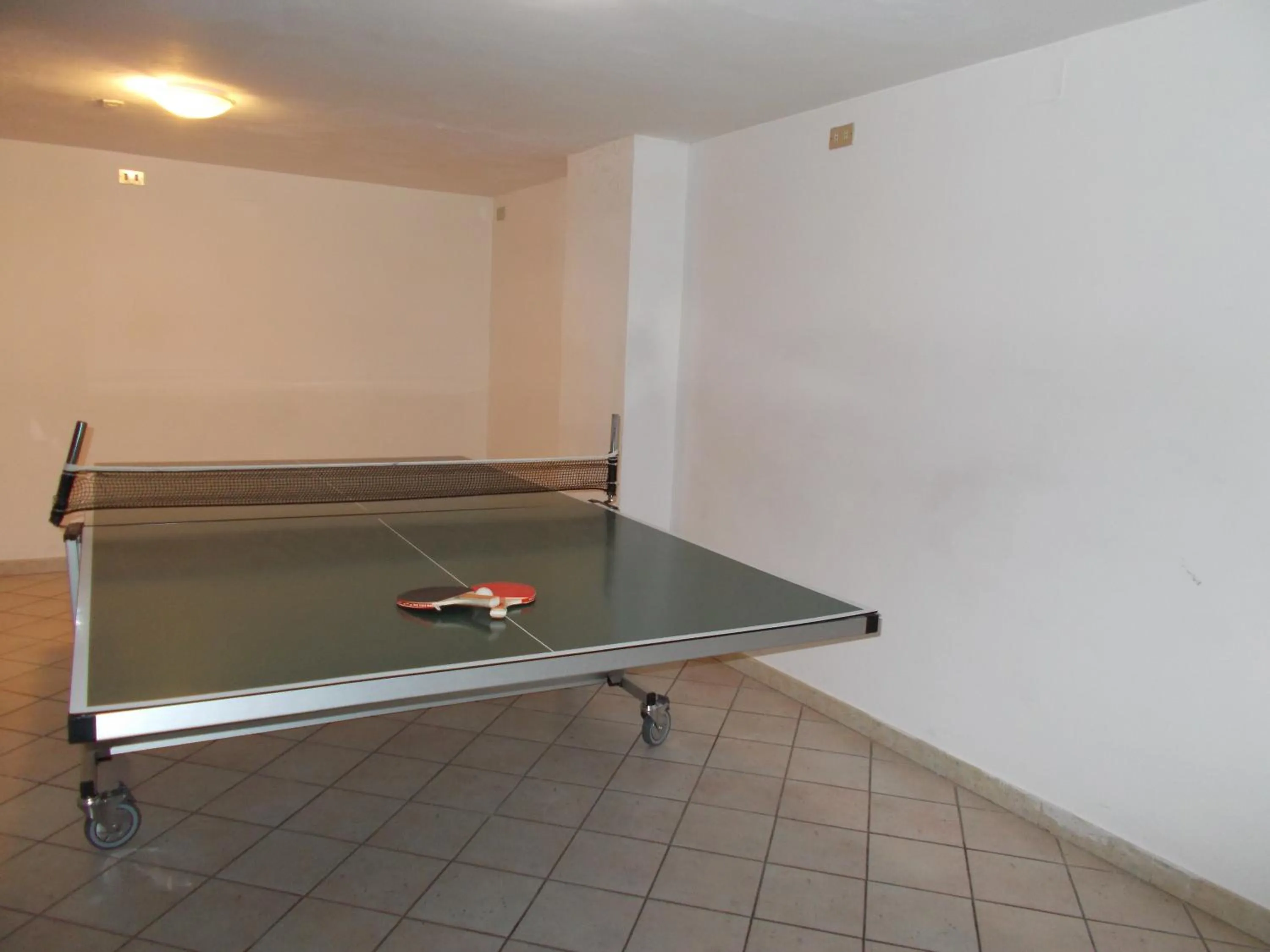 Table tennis in Hotel Holidays