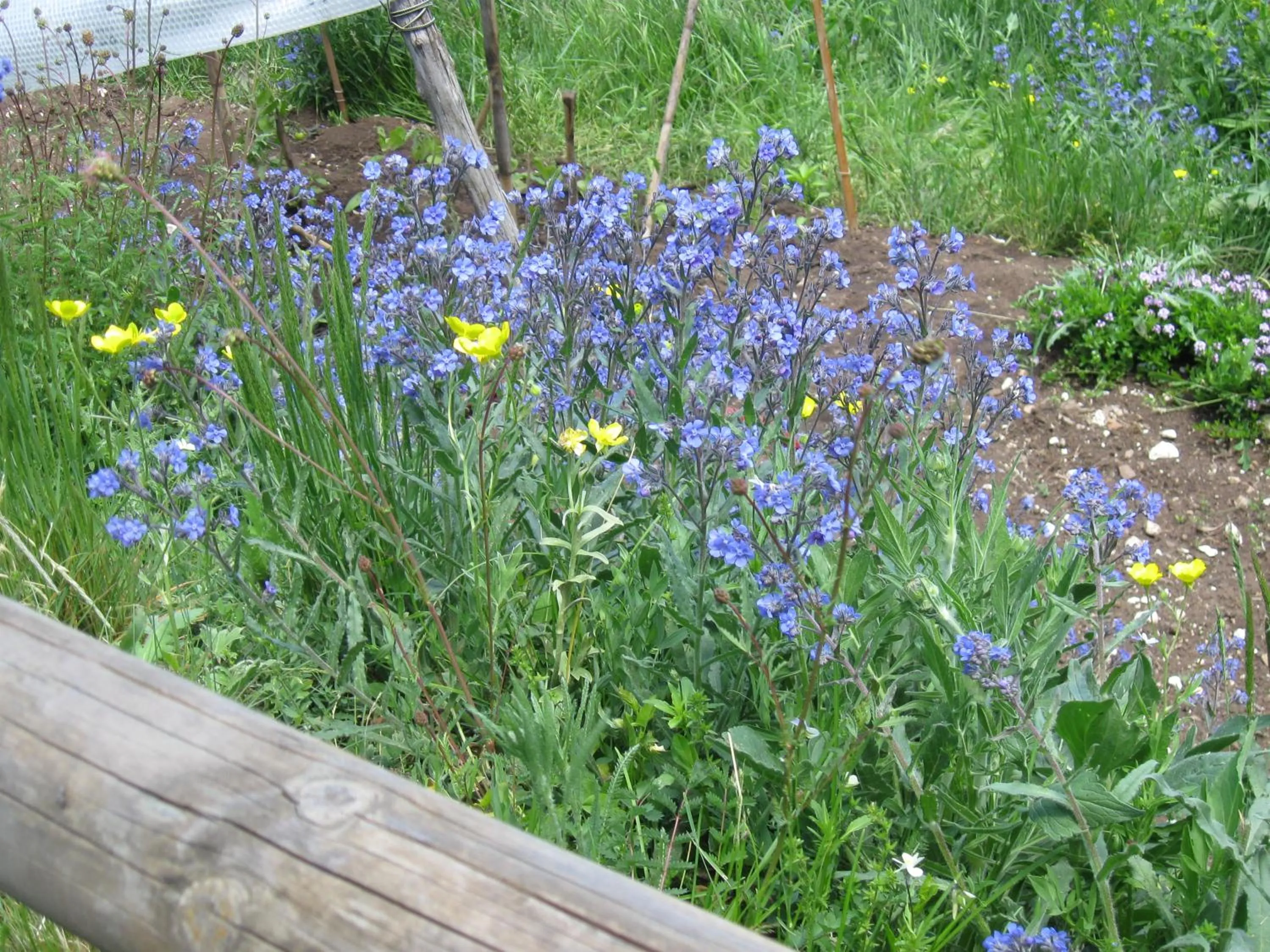 Spring in Hotel Holidays