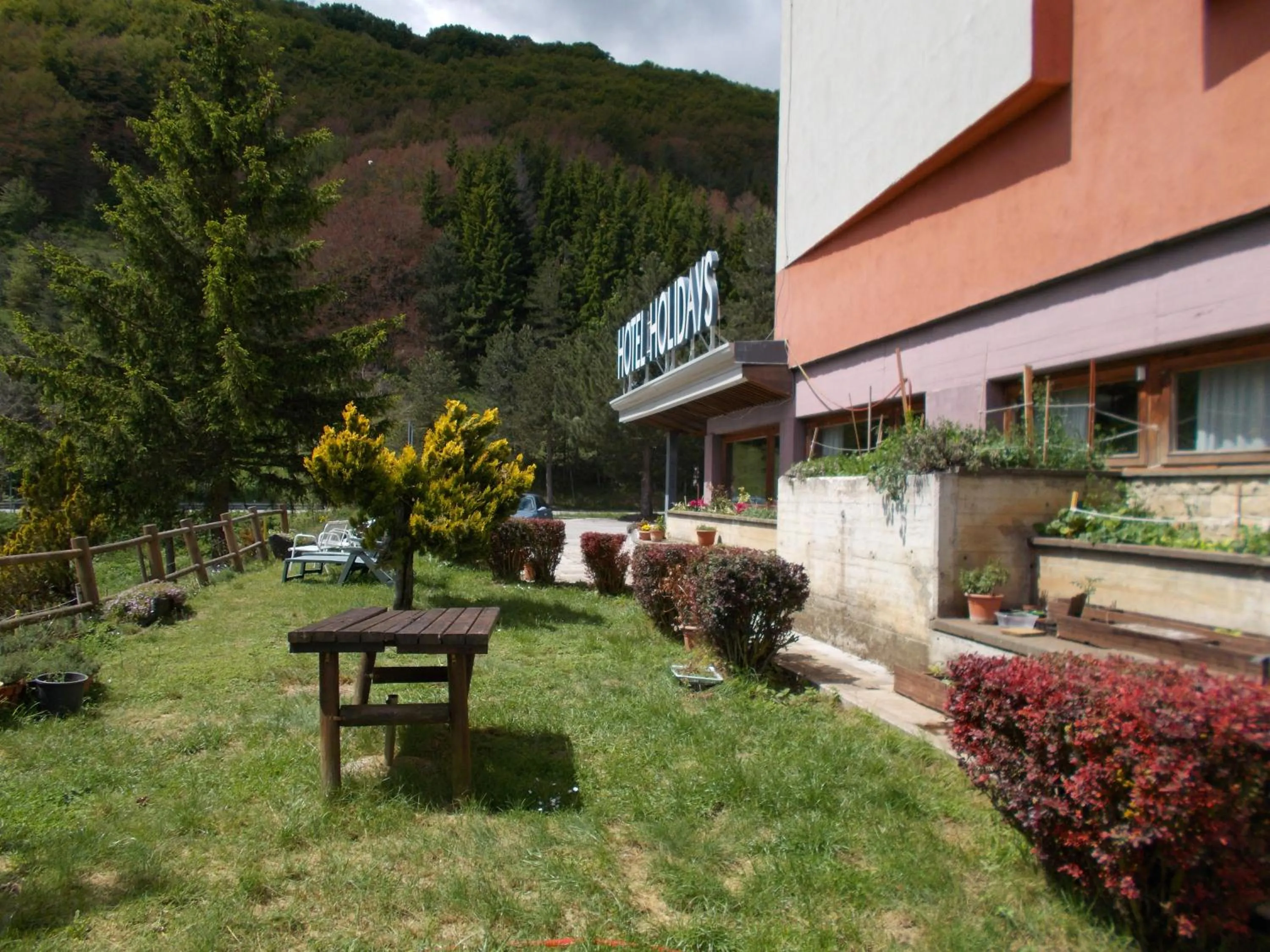 Garden view in Hotel Holidays